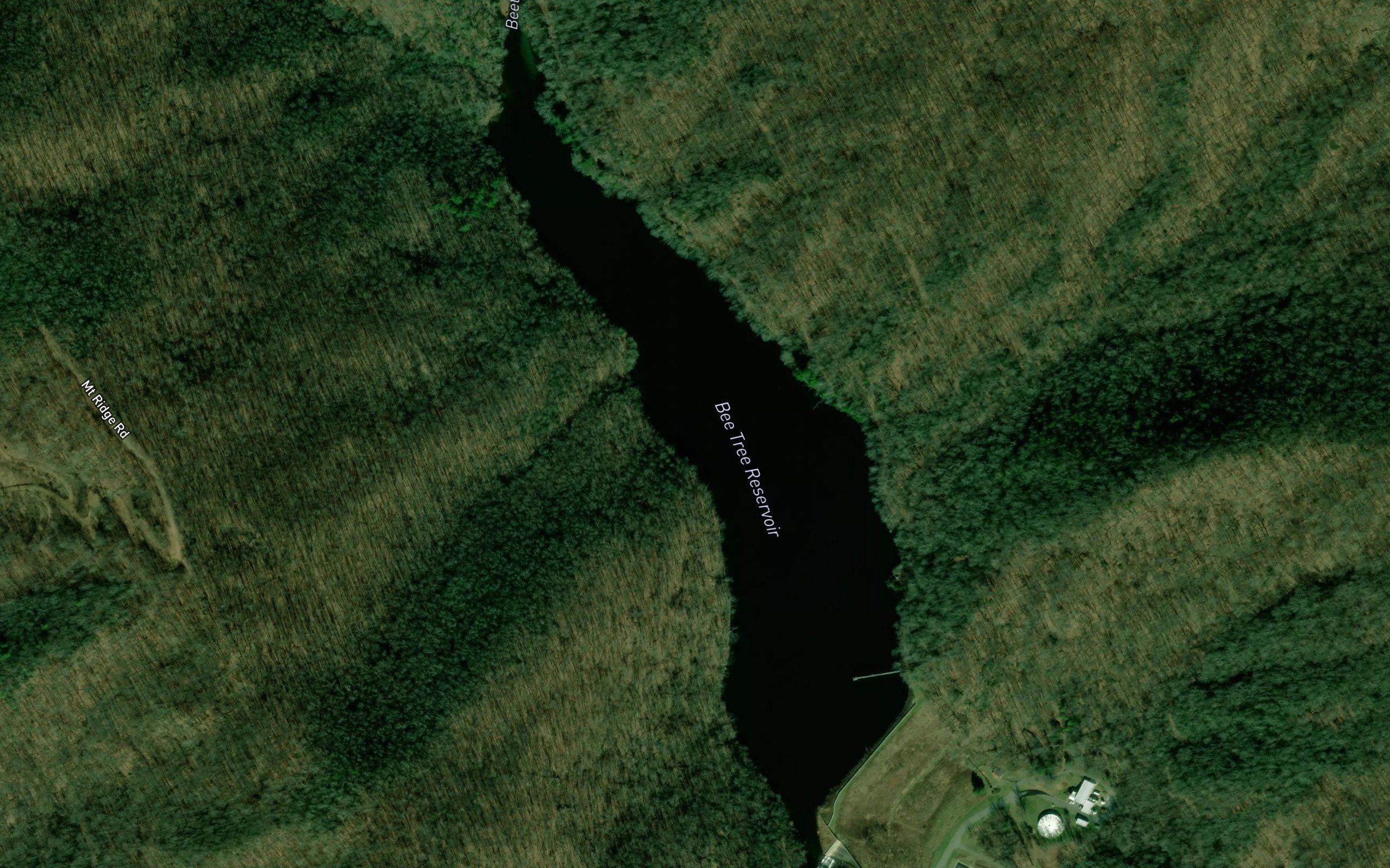 Bee Tree Reservoir