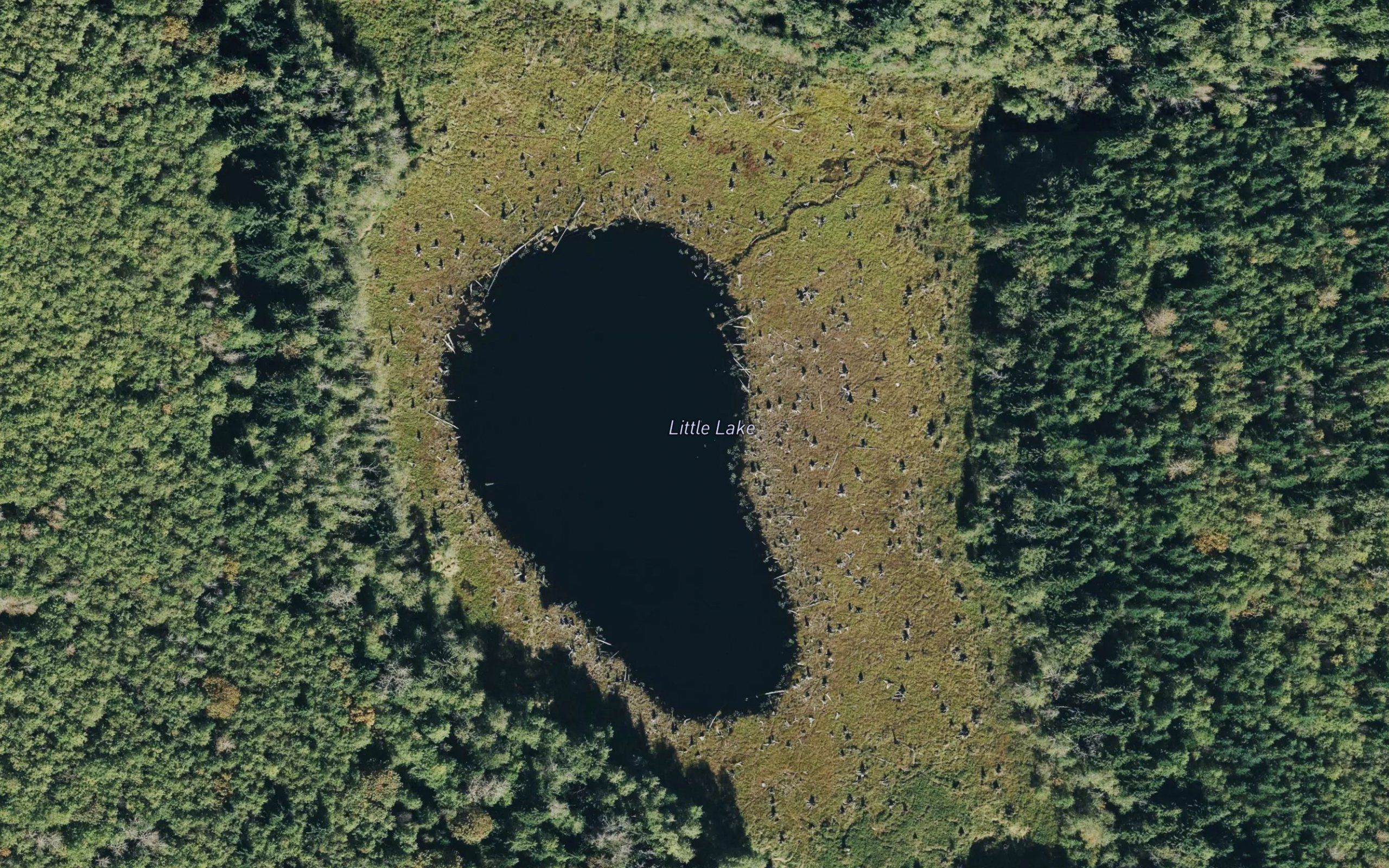 Little Lake