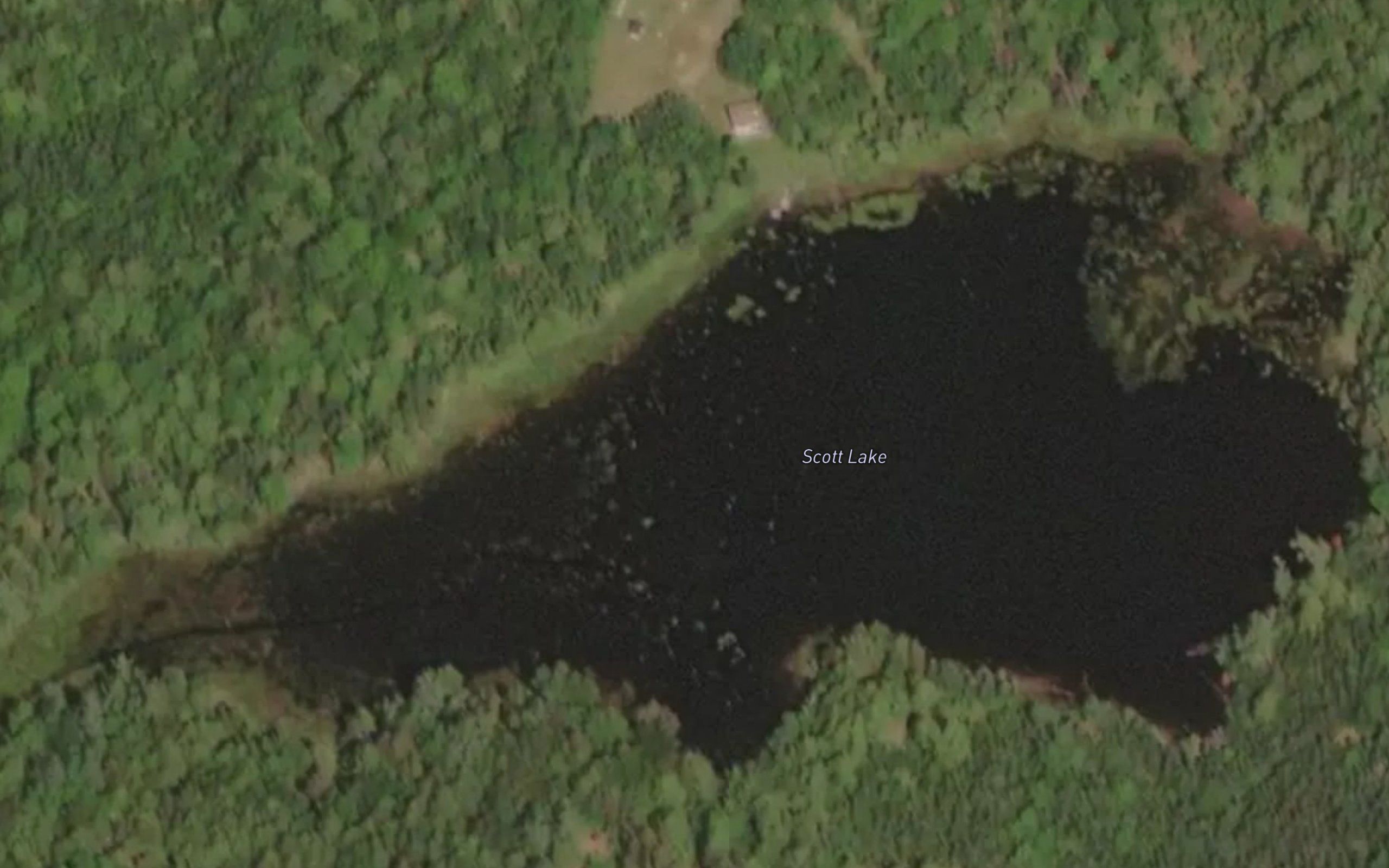 Scott Lake
