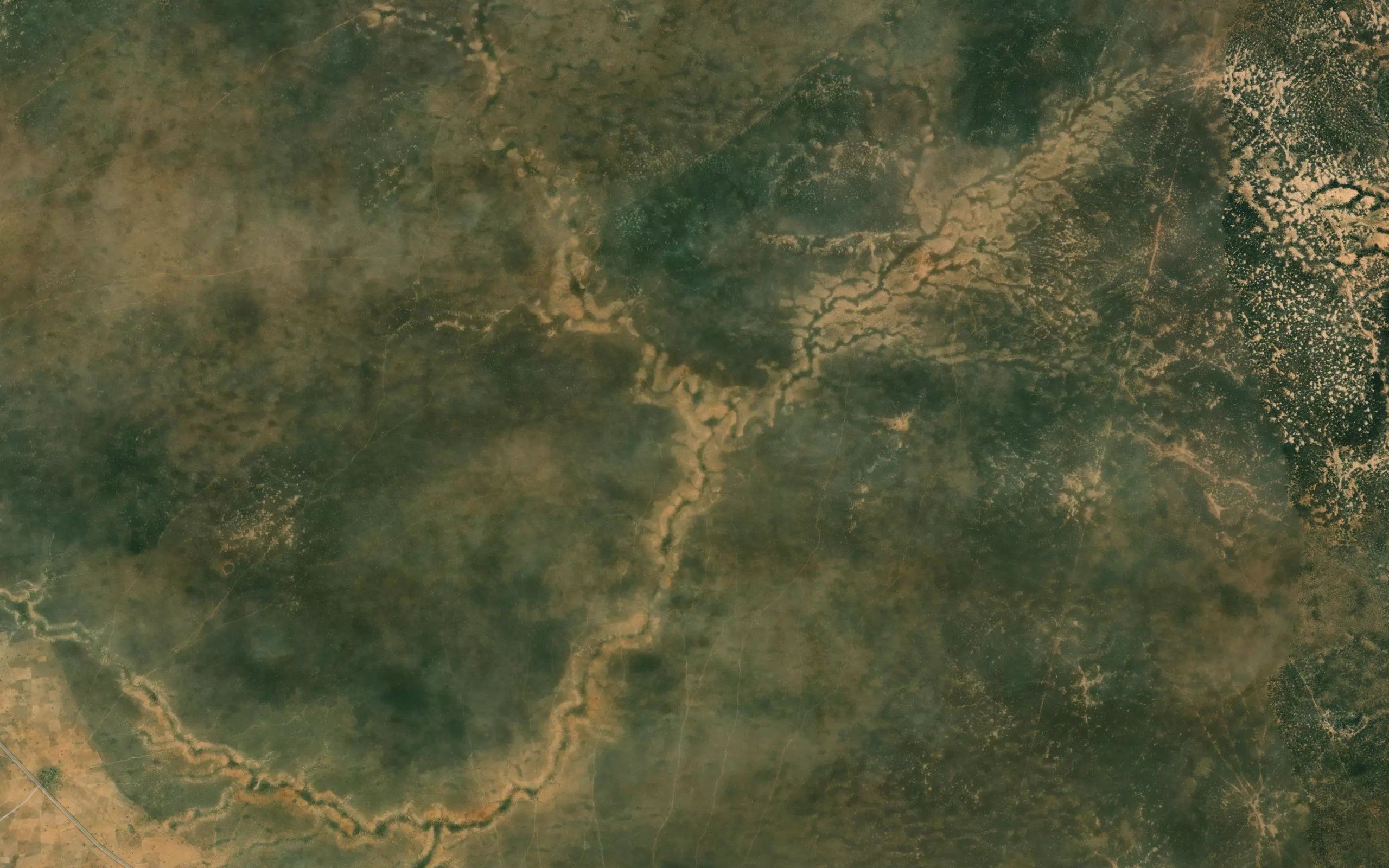 River Takoda