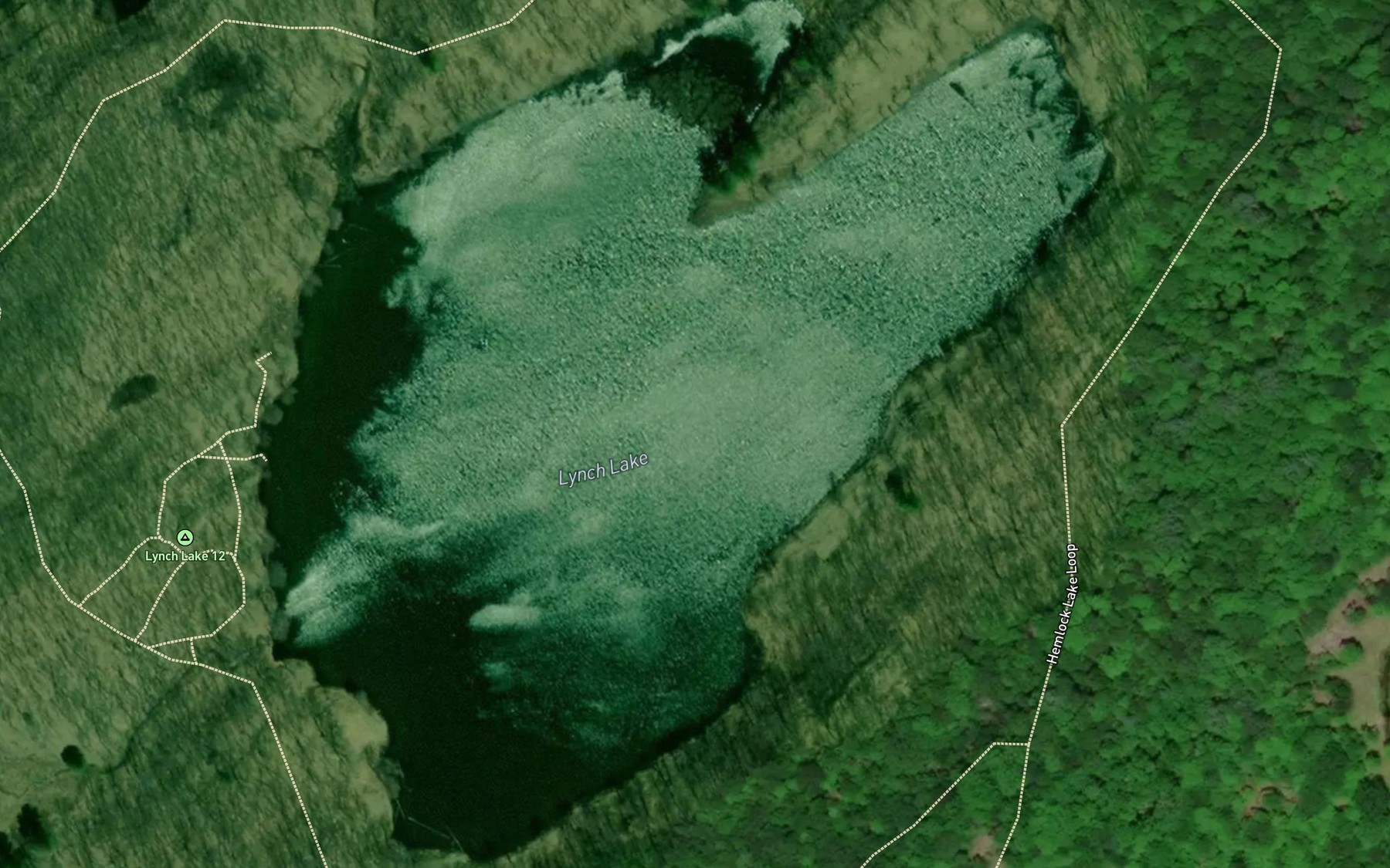 Satellite map of the Lynch Lake
