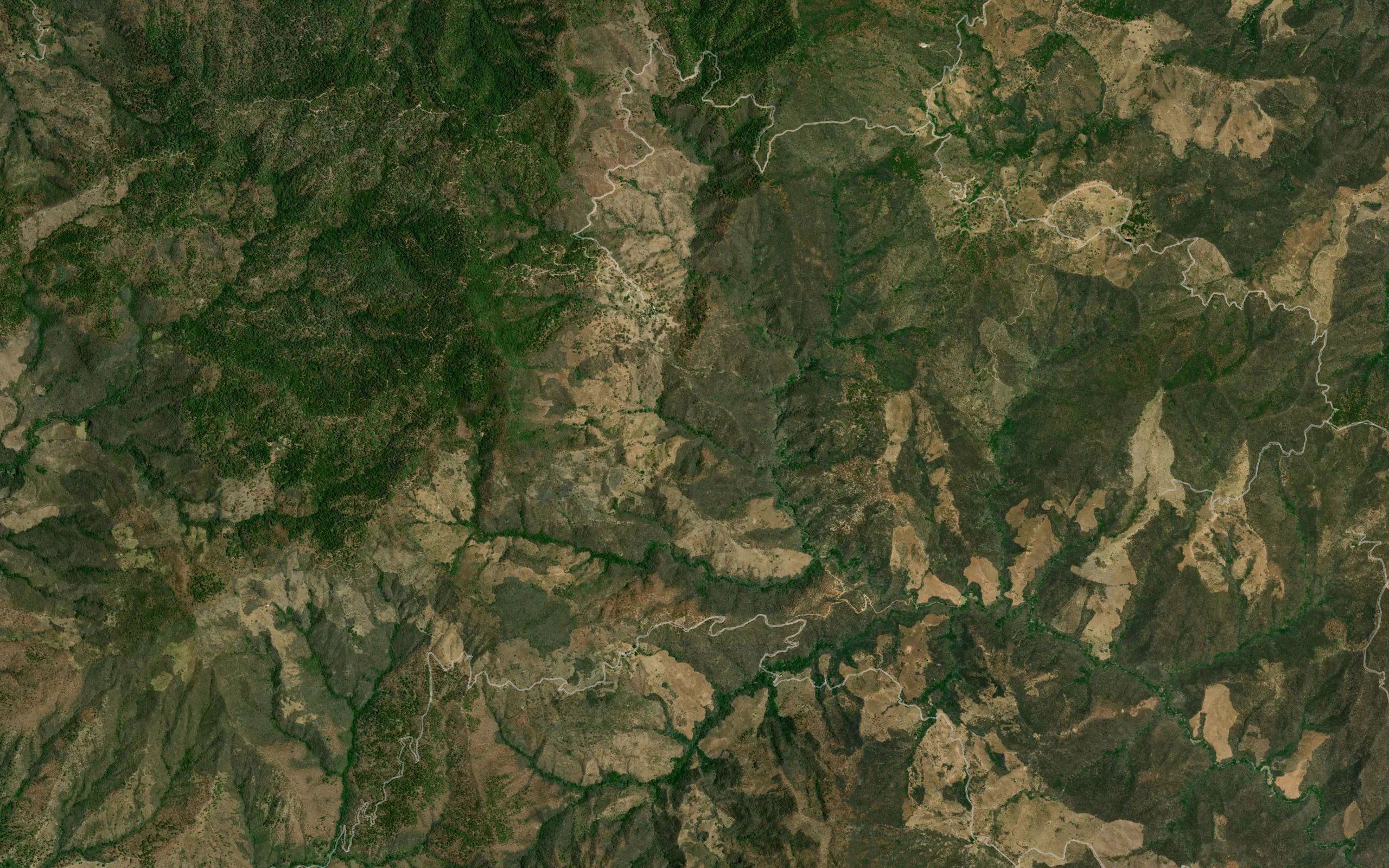 Barranca La Higuerita