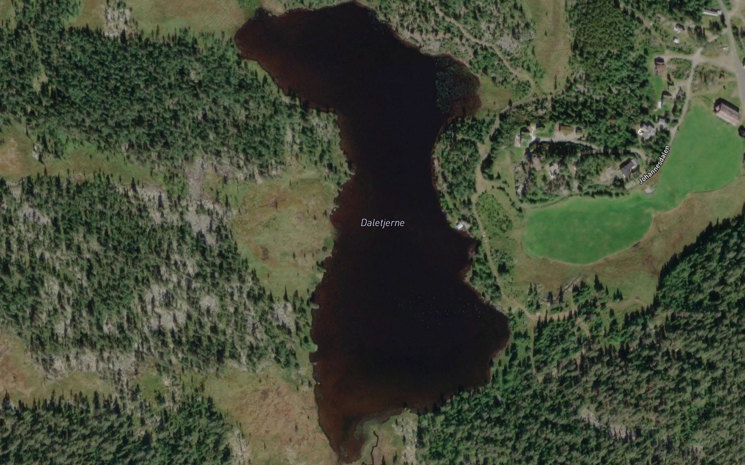 Daletjernet