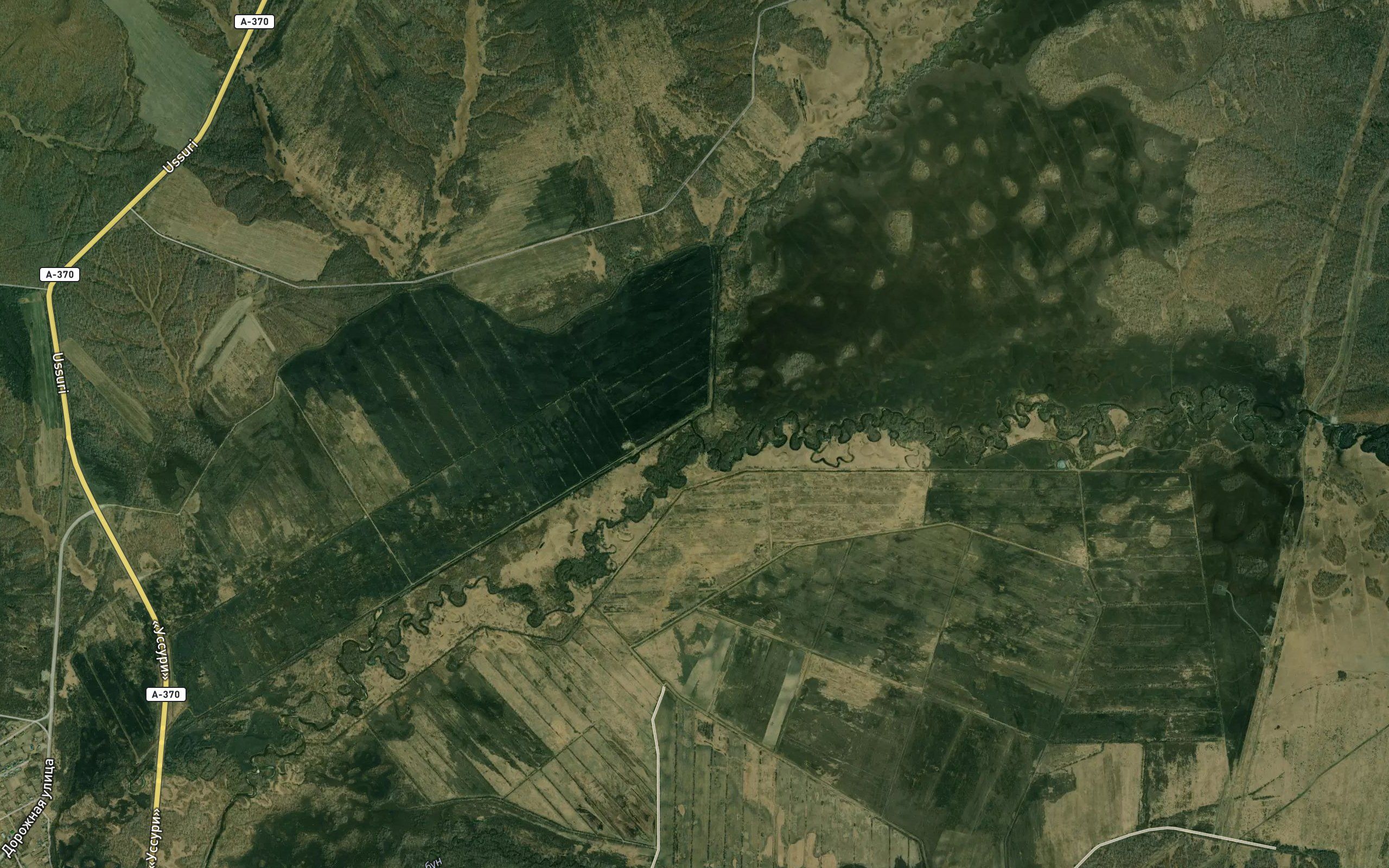 Omutnaya