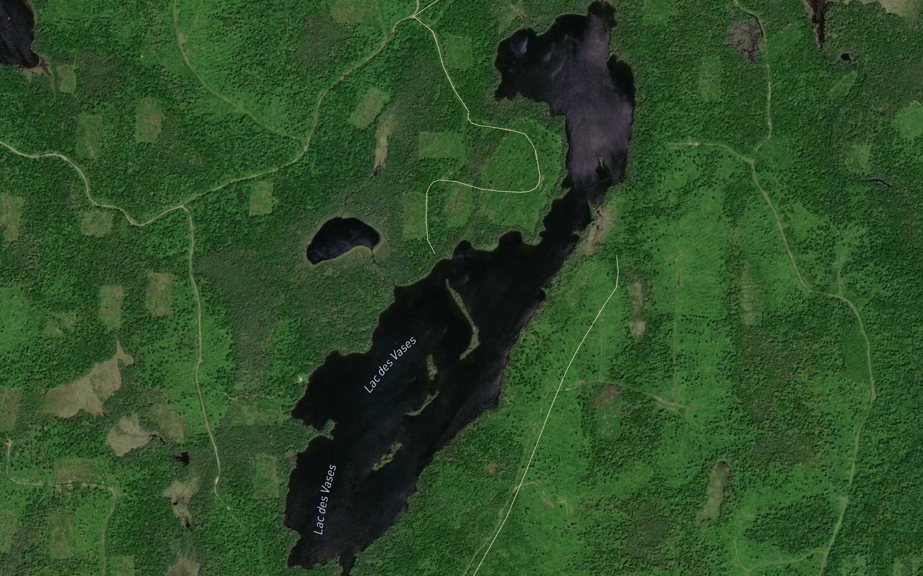 Satellite map of the Lac des Vases