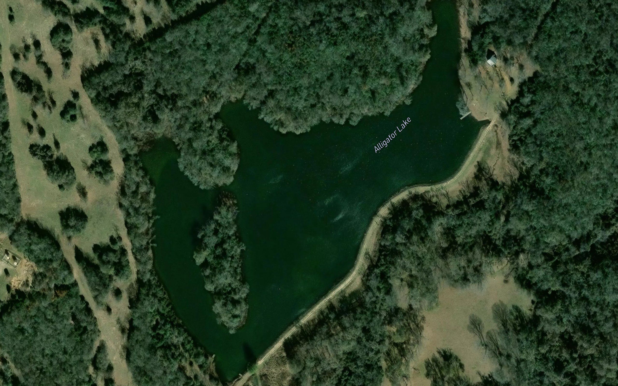 Alligator Pond