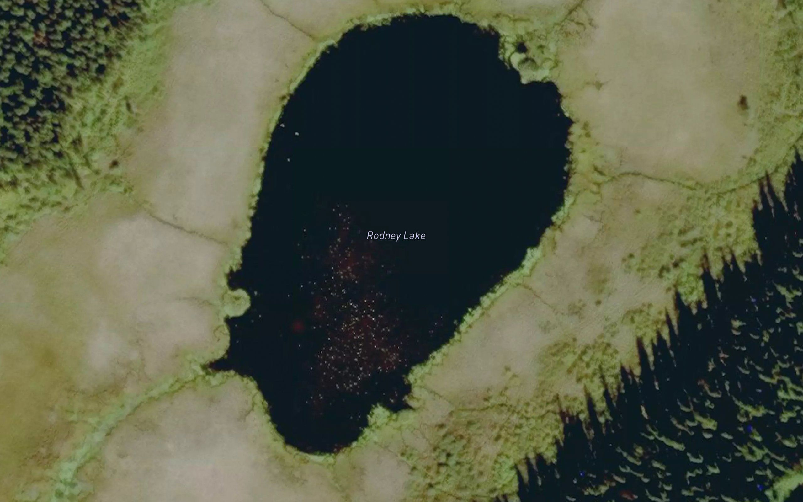Rodney Lake
