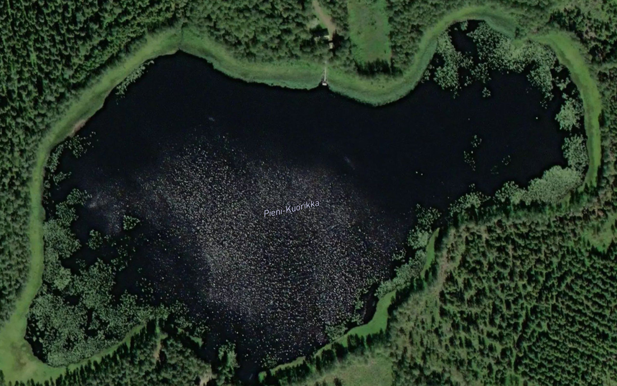 Pieni-Kuorikka