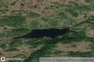 Finnvolltjorna