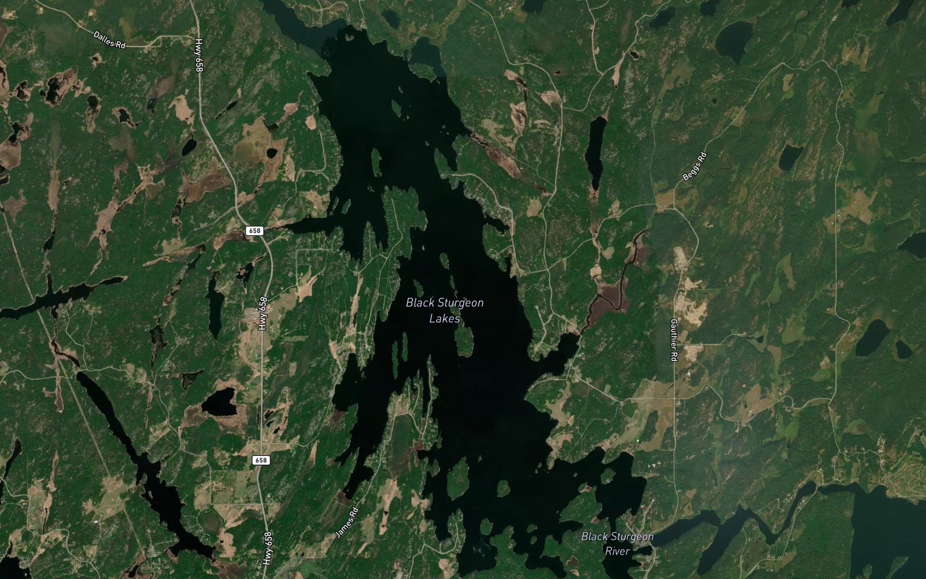 Satellite map of the Rice Bay