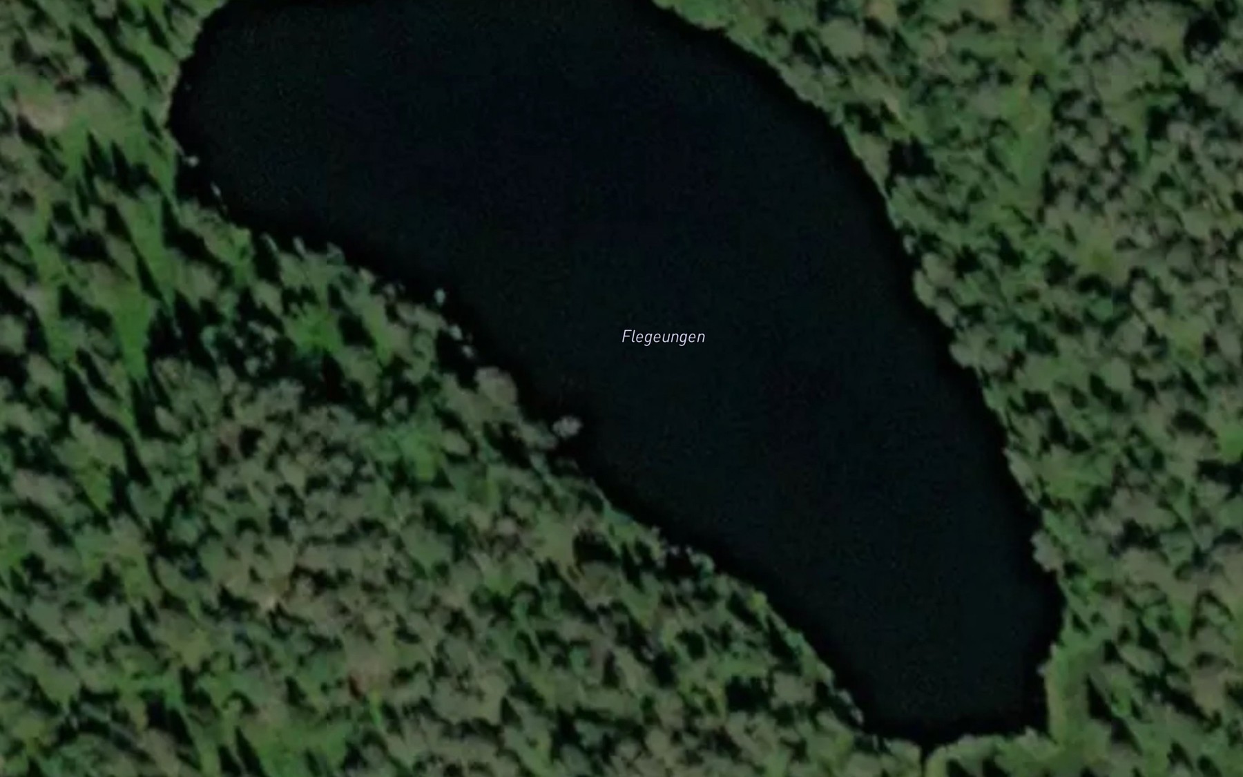 Satellite map of the Flegeungen