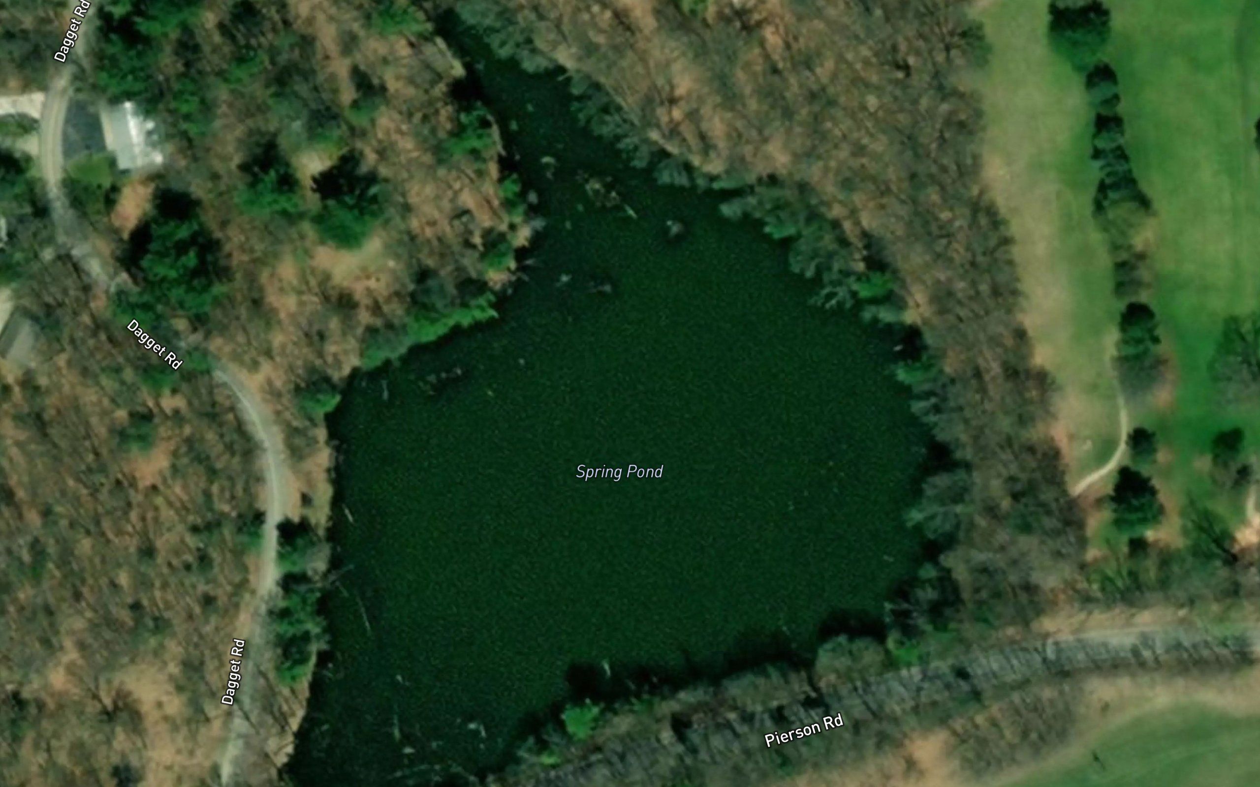 Spring Pond