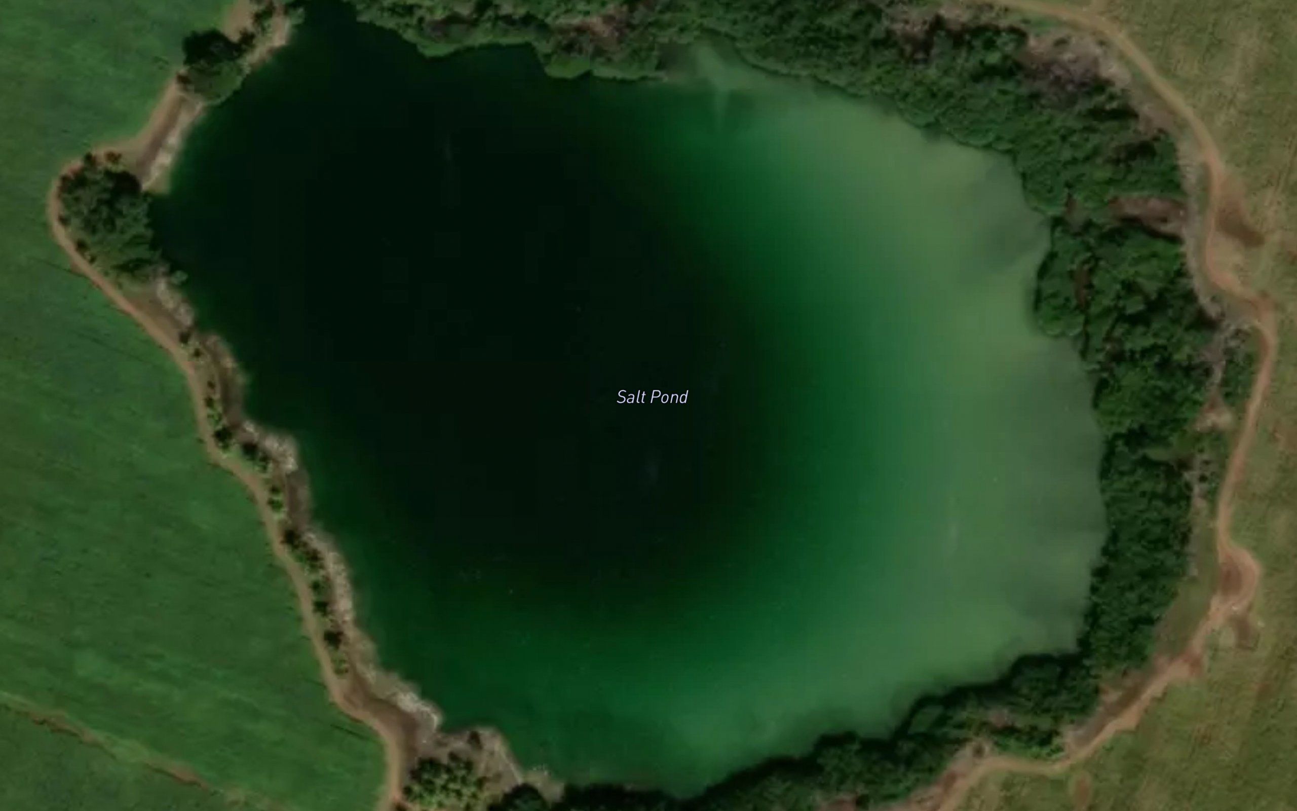Salt Pond