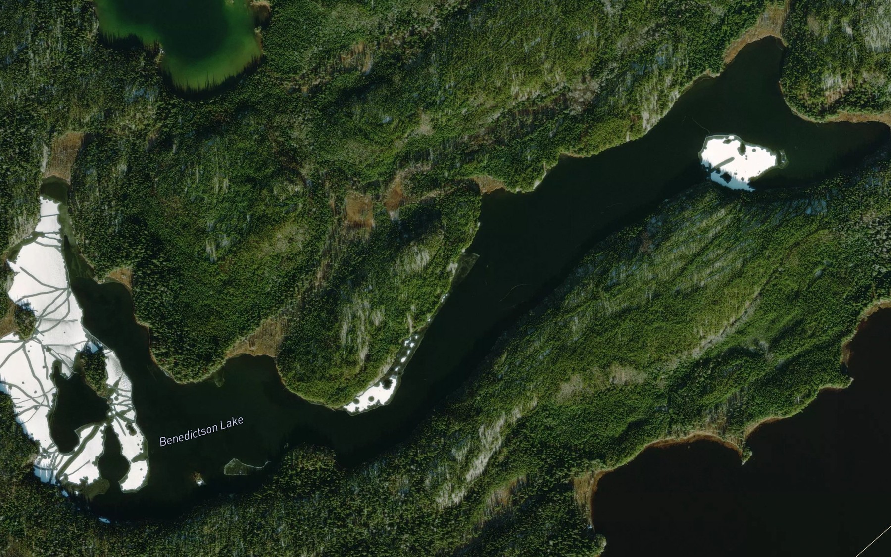 Satellite map of the Benedictson Lake