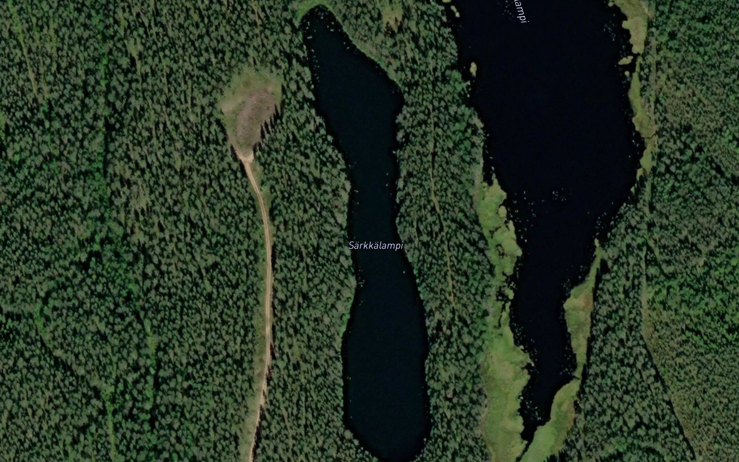Sarkkalampi