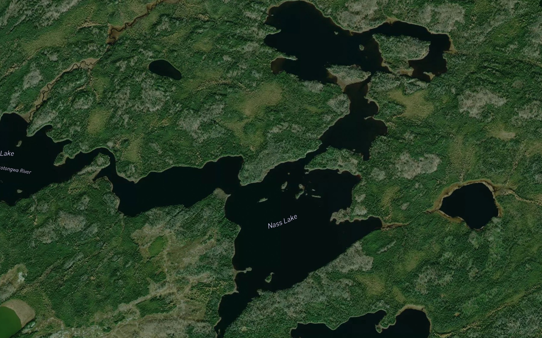 Satellite map of the Nass Lake