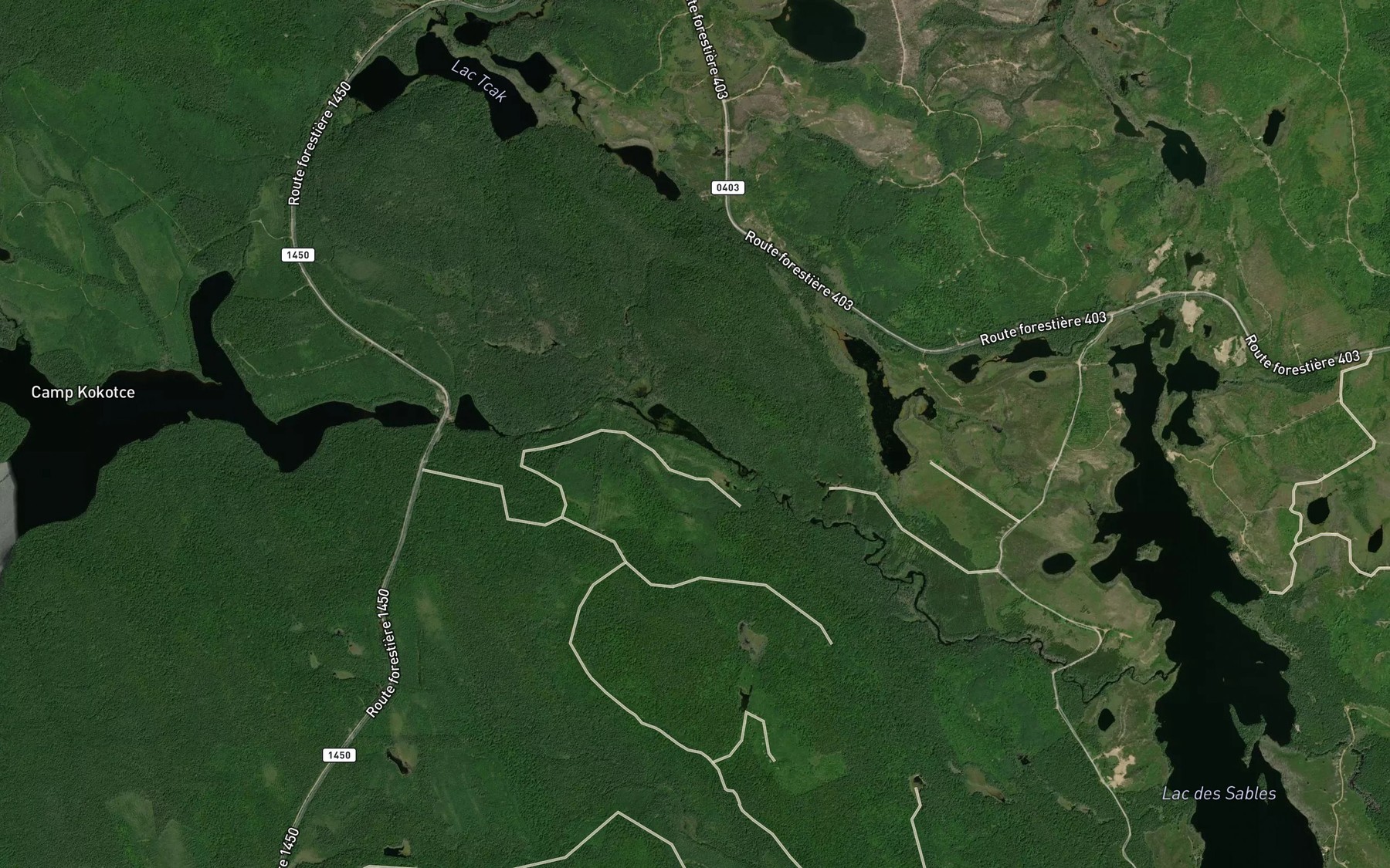 Satellite map of the Lac Kakinockokamacik