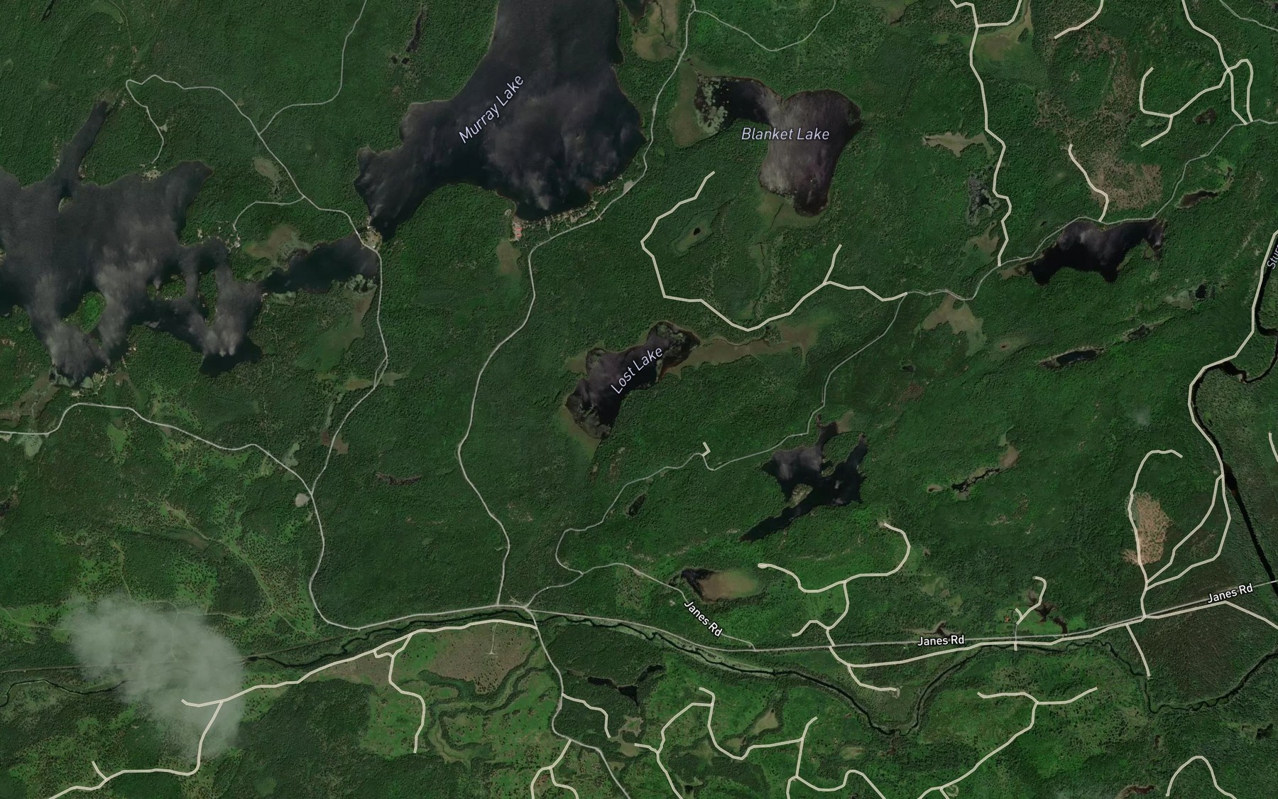 Satellite map of the Lost Lake