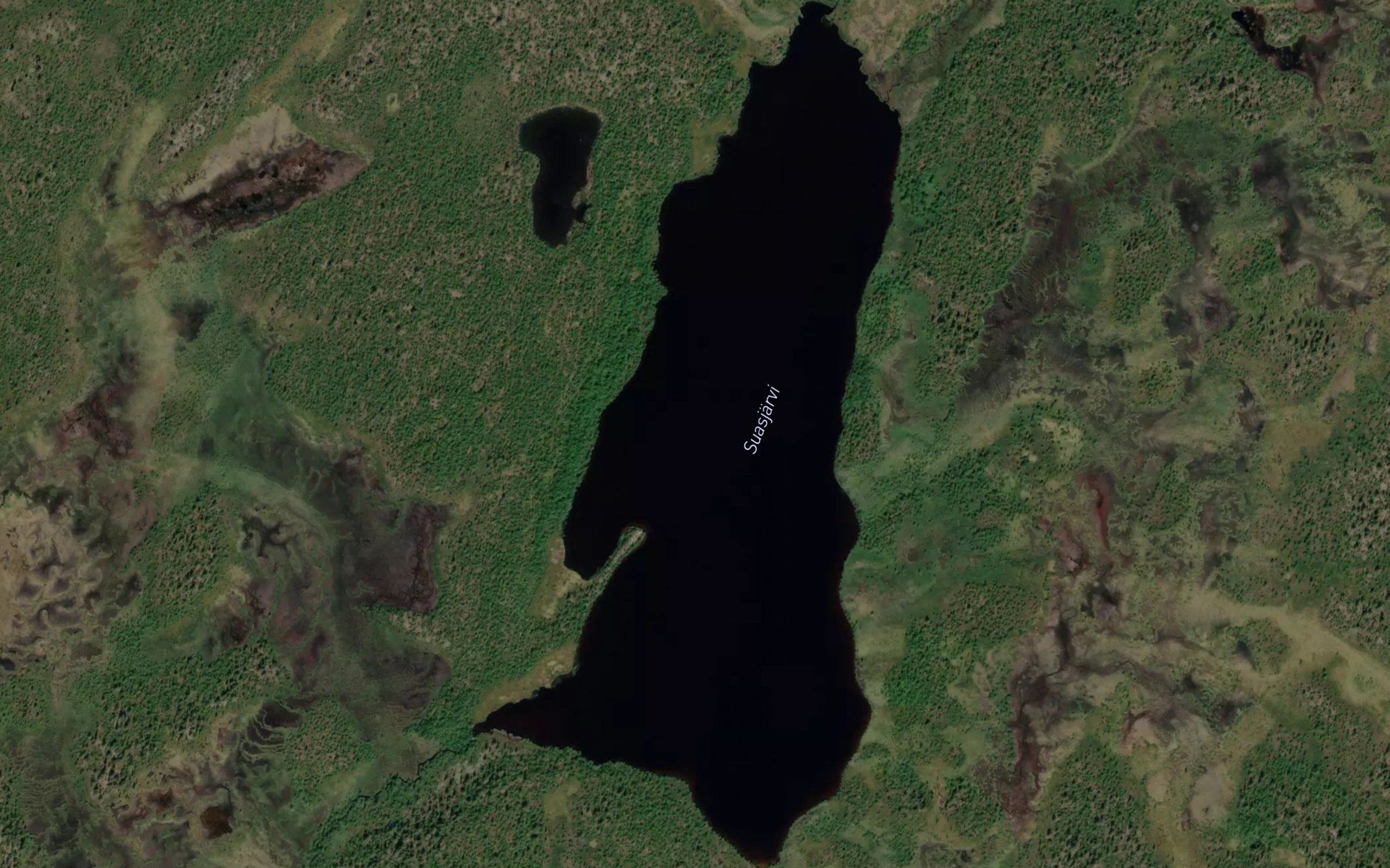 Suasjarvi
