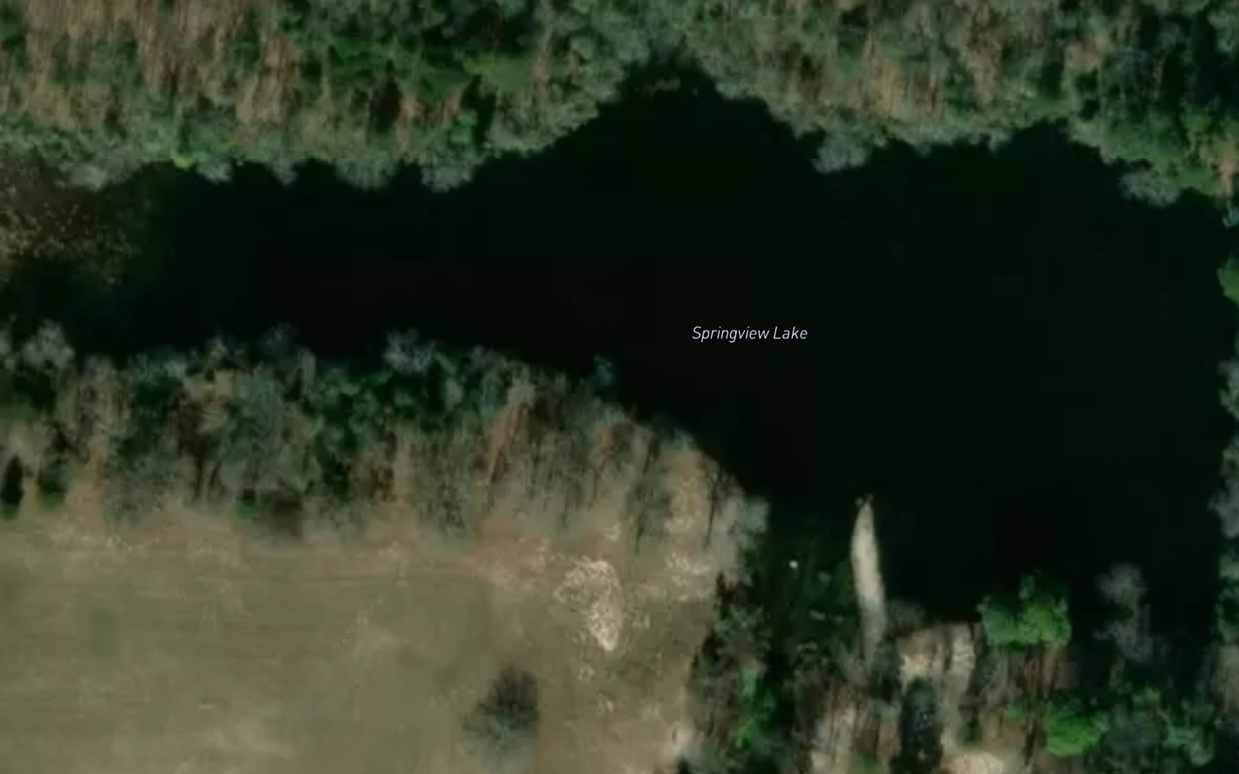 Satellite map of the Springview Lake
