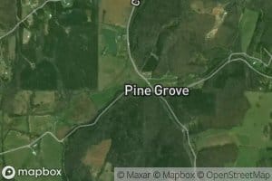 Bivins Branch