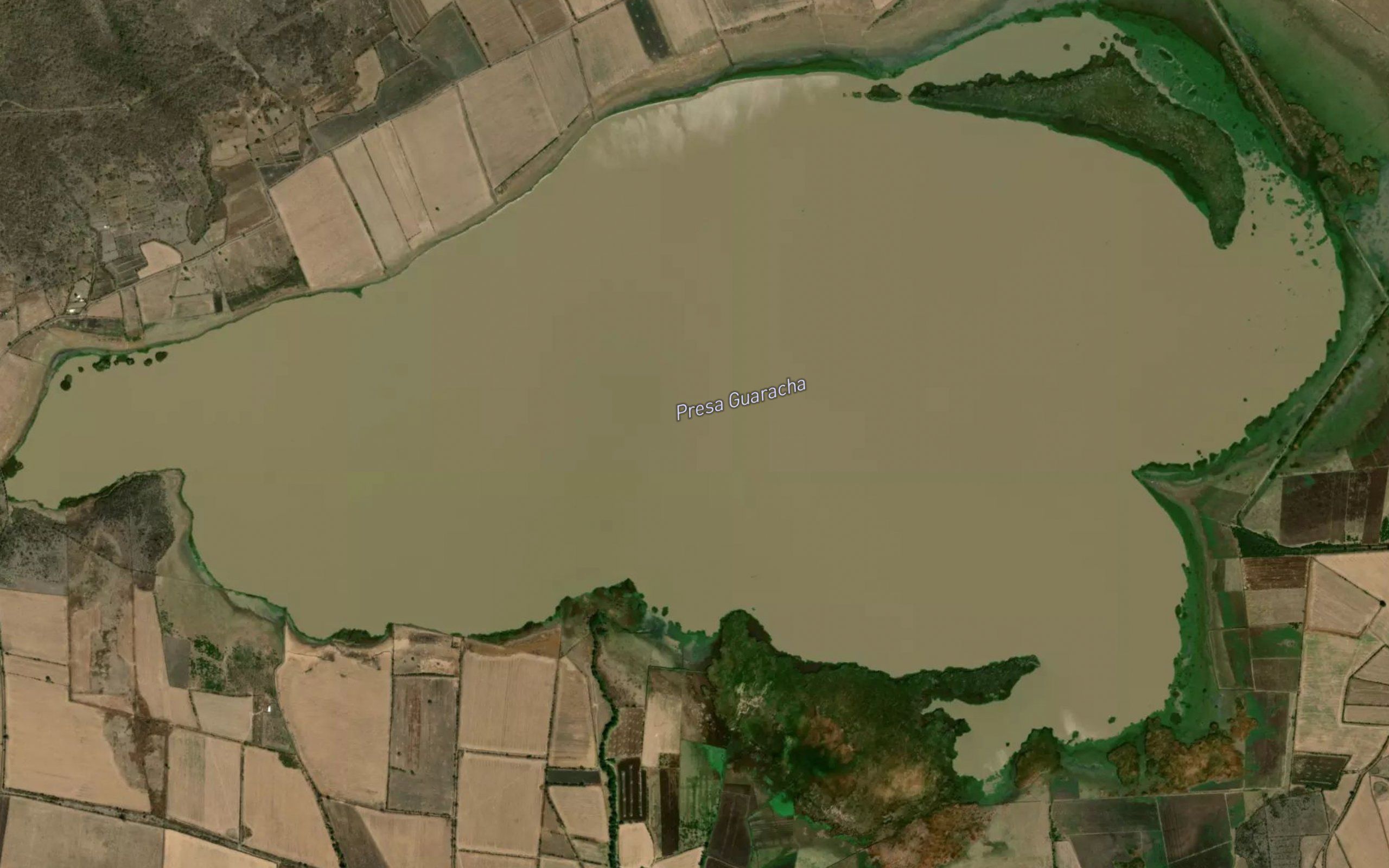 Presa Nueva