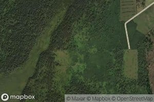 Pad' Chistoye Boloto