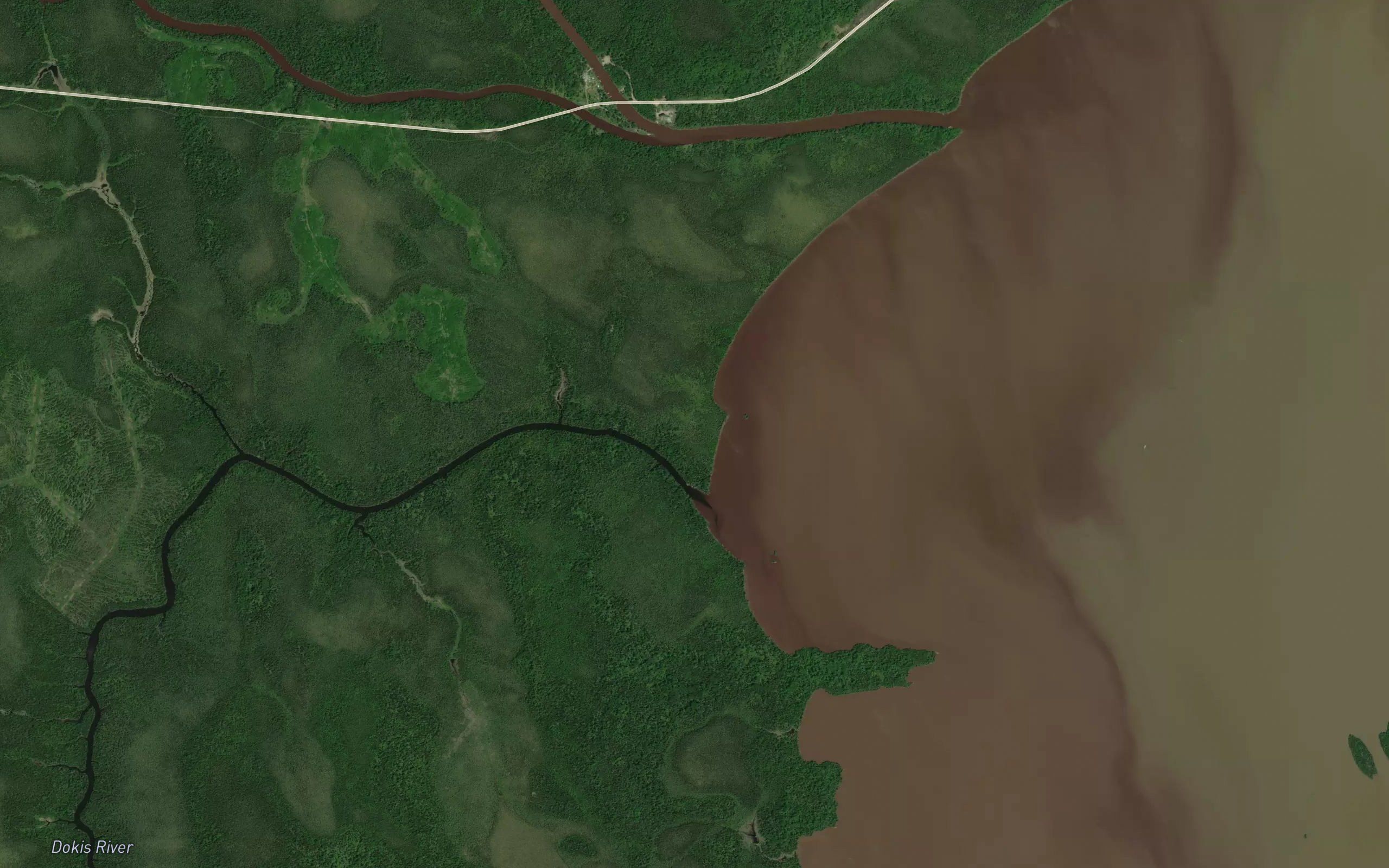 Dokis River