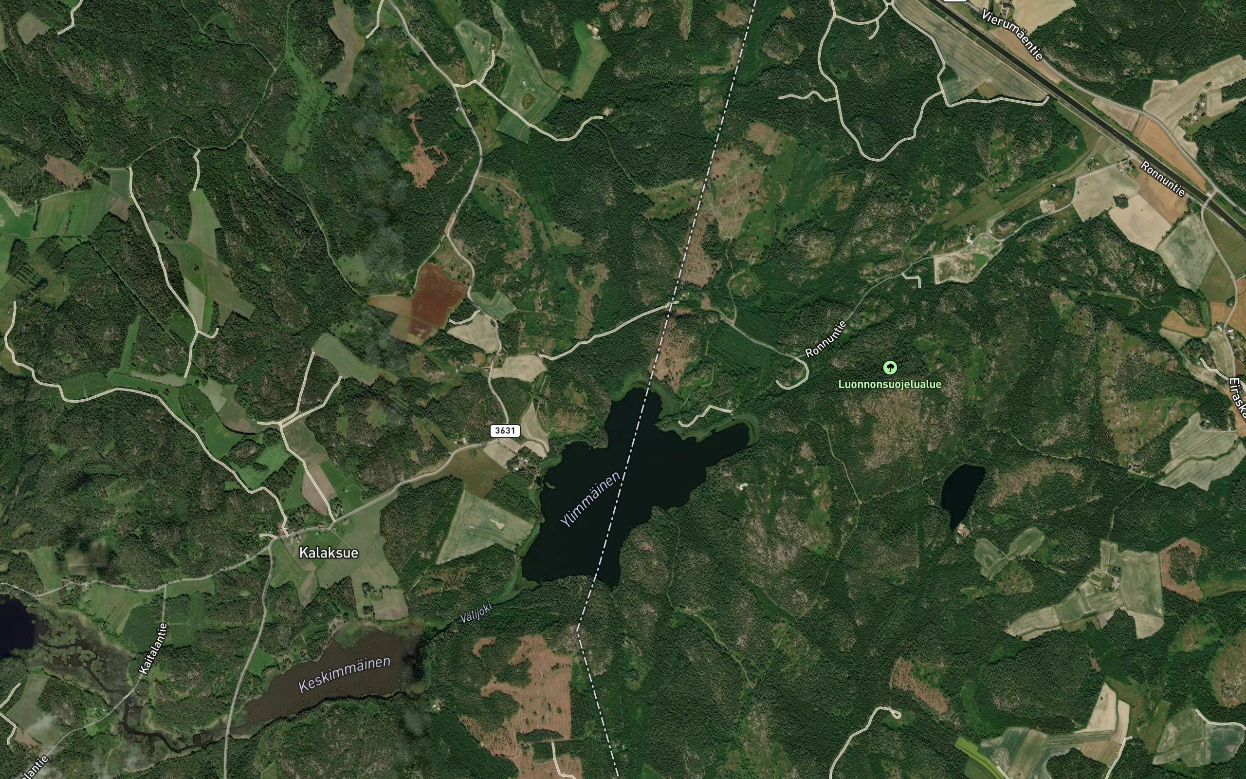 Korvenviepa