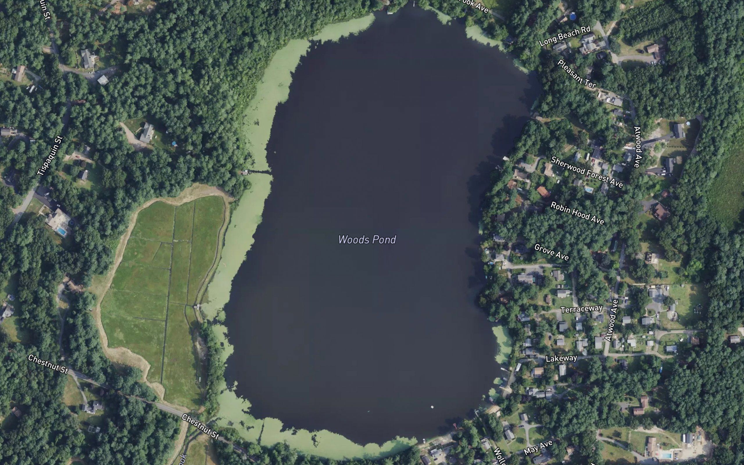 Woods Pond