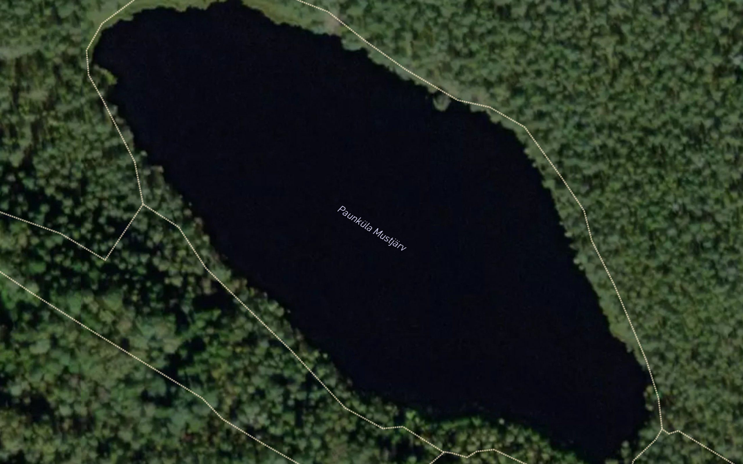 Mustijarv