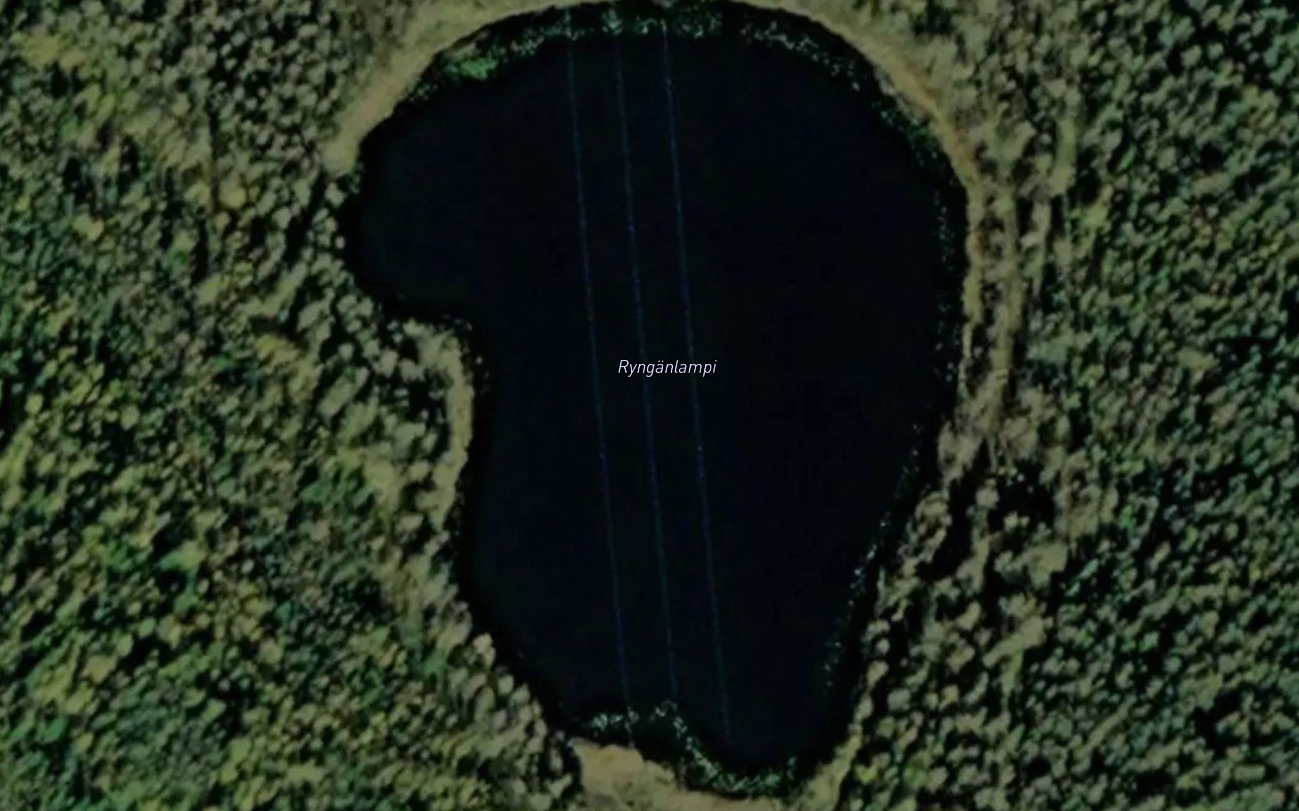 Rynganlampi