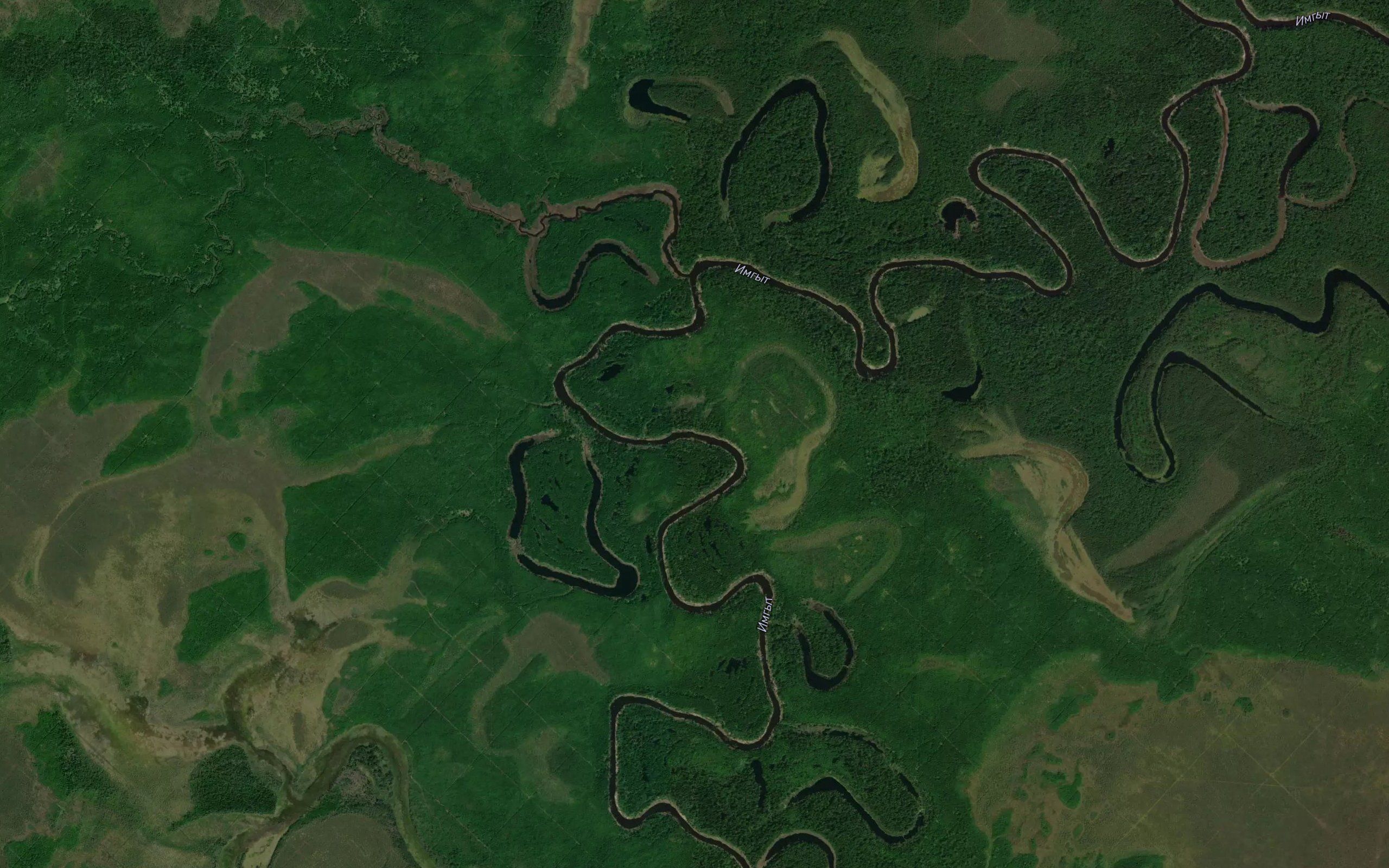 Yanga