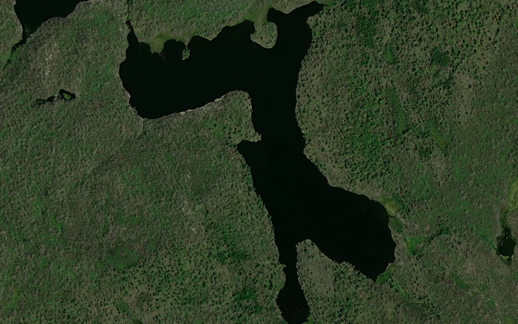 Satellite map of the East Kidd Lake