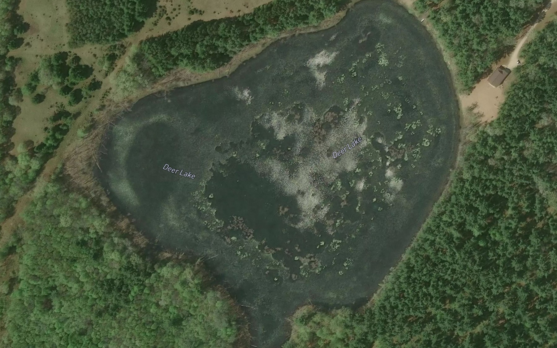 Satellite map of the Deer Lake