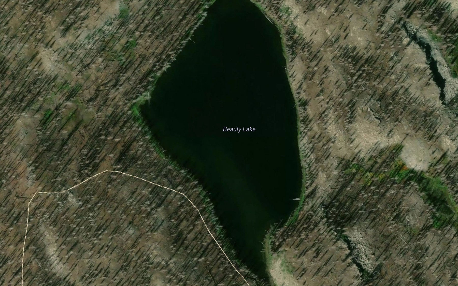 Satellite map of the Beauty Lake