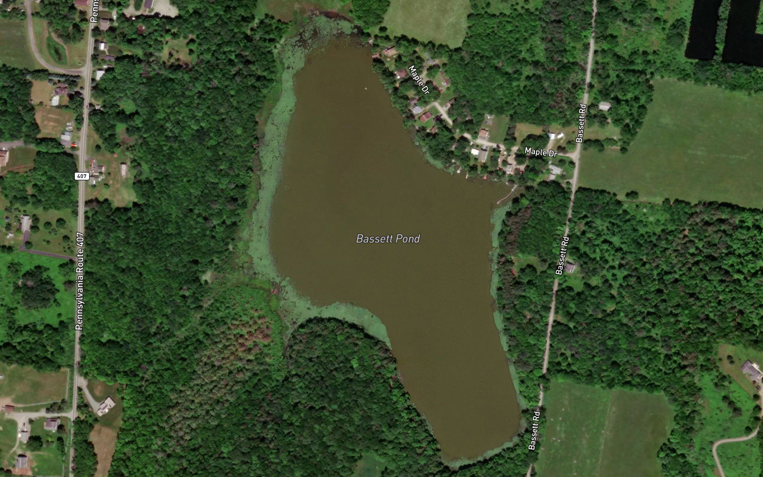 Bassett Pond