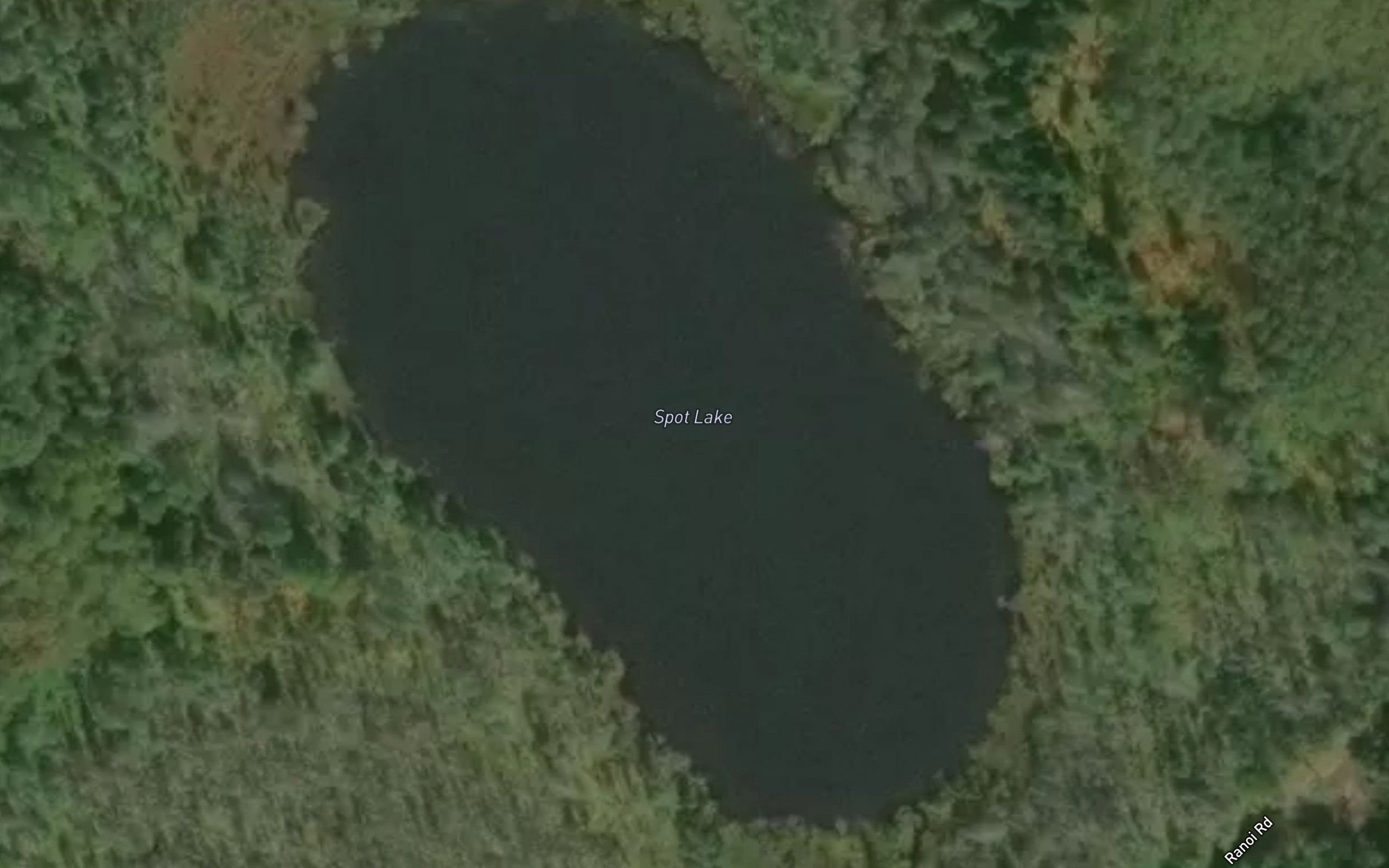 Spot Lake
