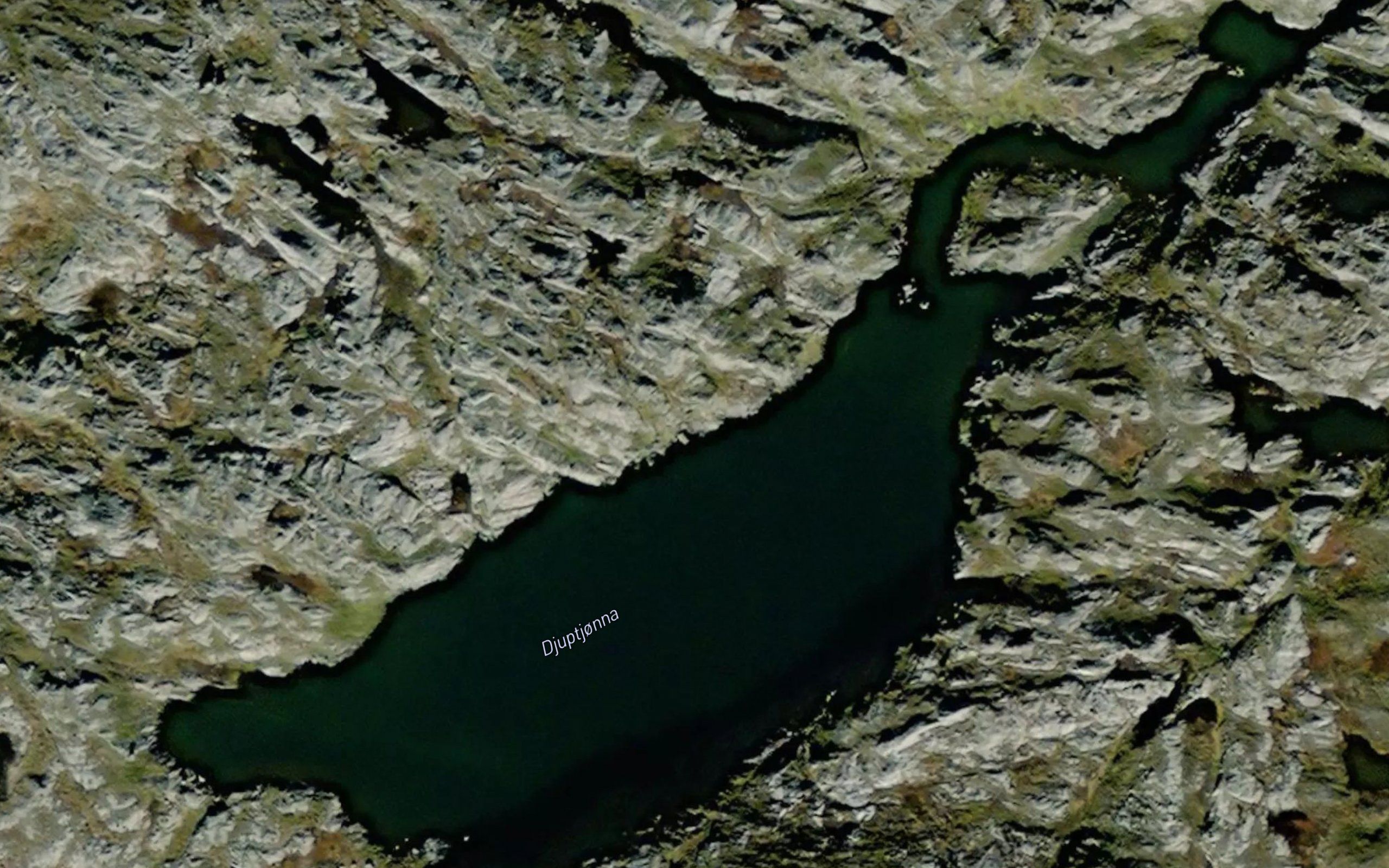 Djuptjorna