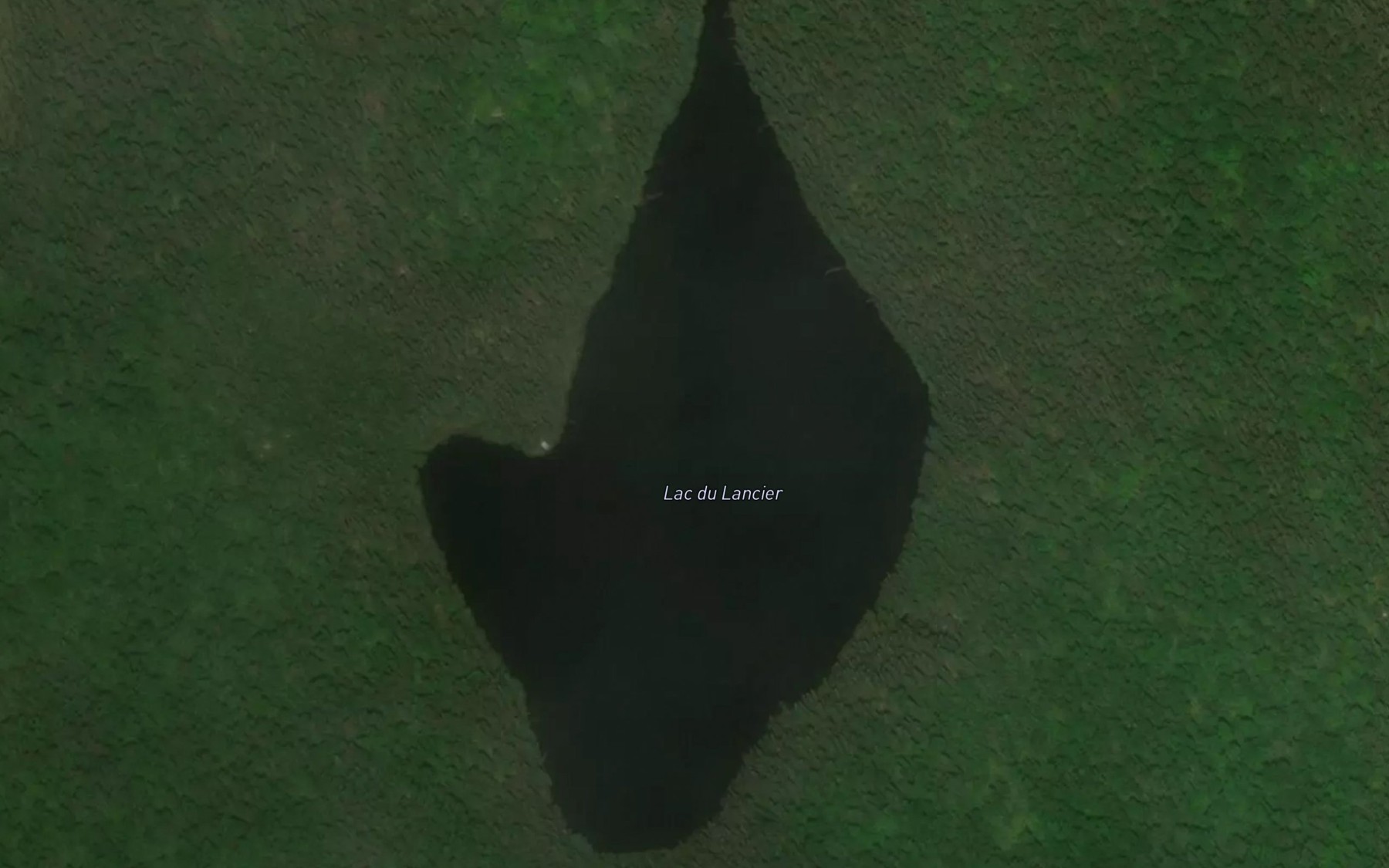 Satellite map of the Lac du Lancier