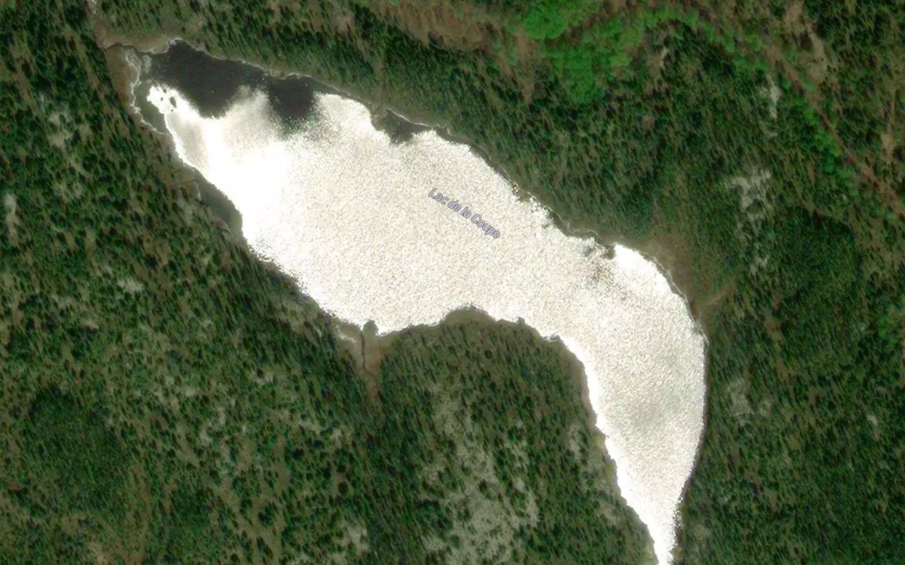 Satellite map of the Lac de la Coupe