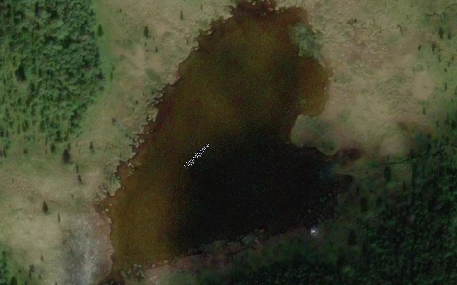 Satellite map of the Litjgodtjonna