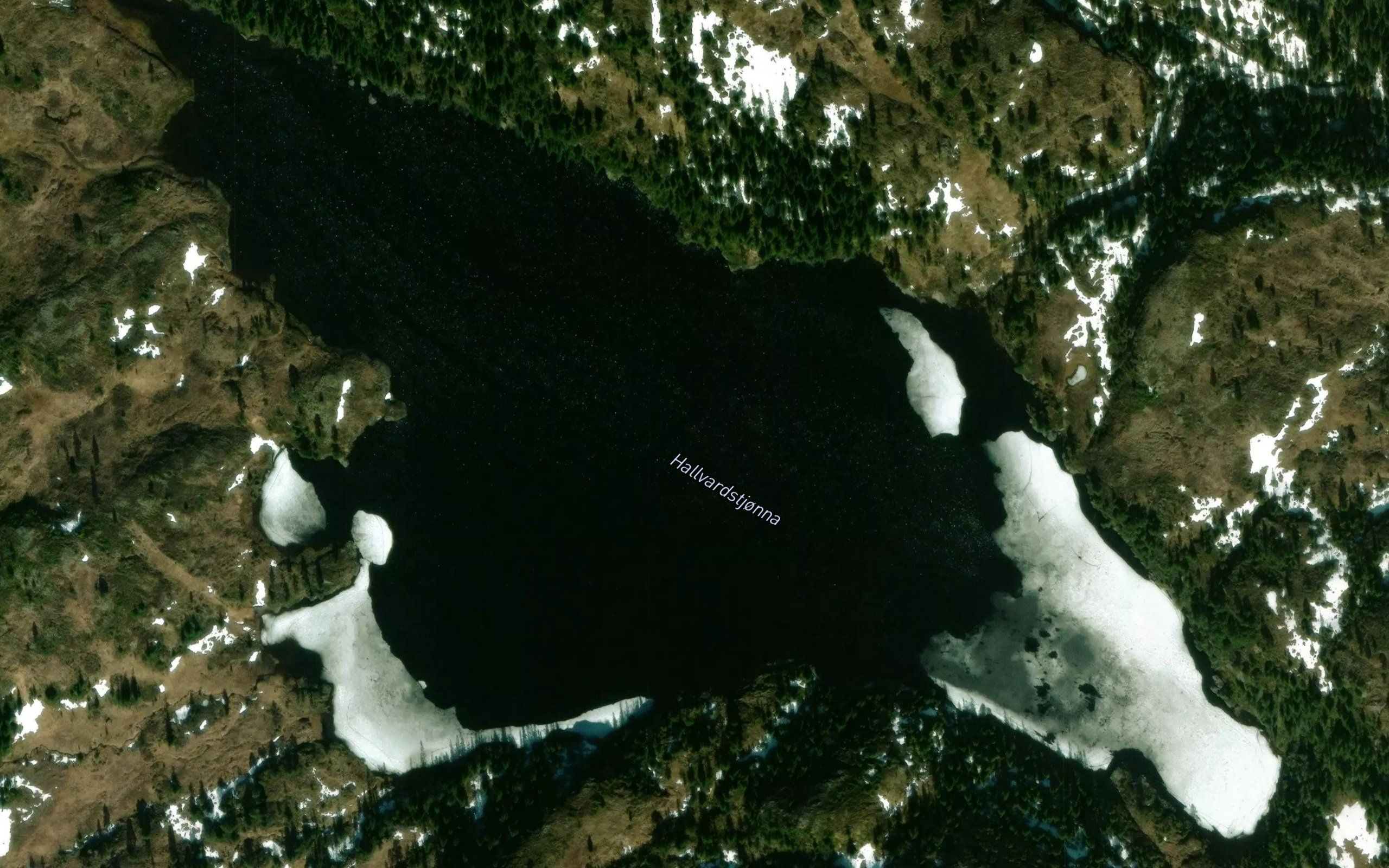 Halvardstjorna