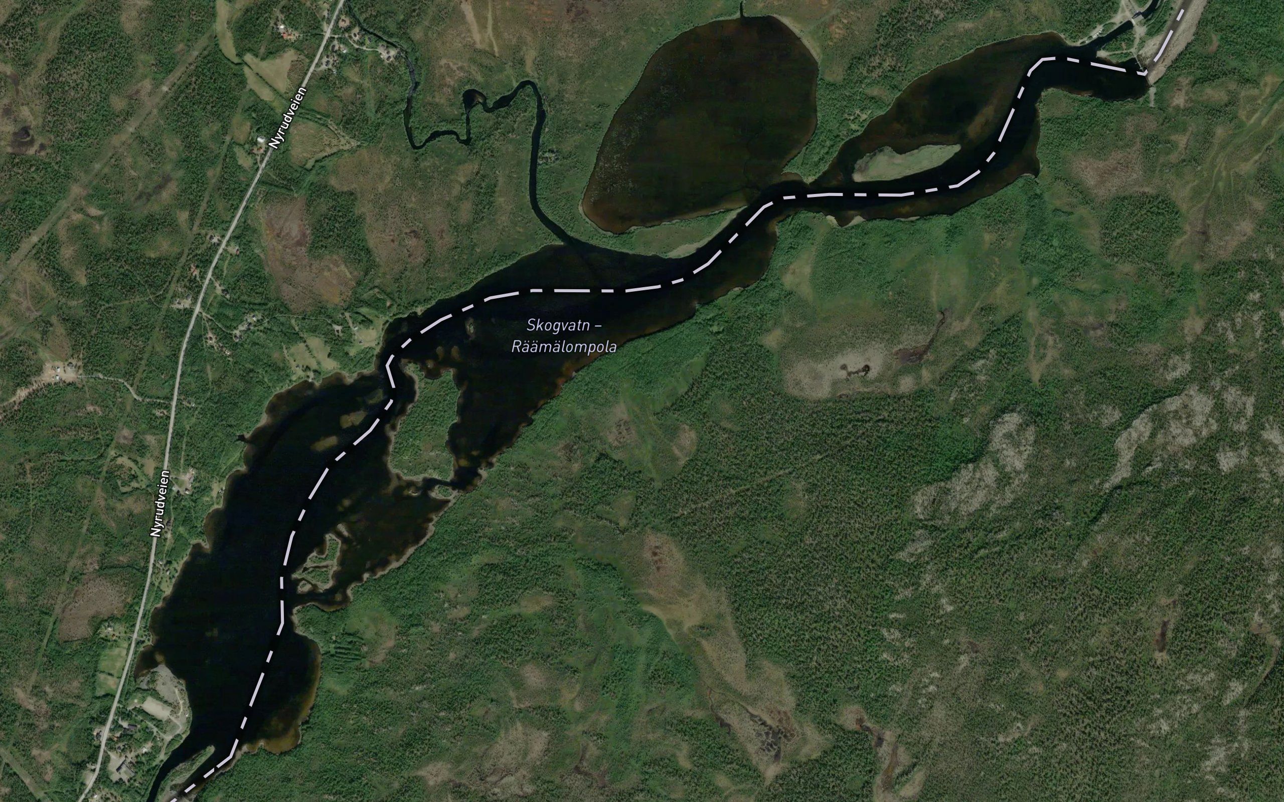 Skogvatn