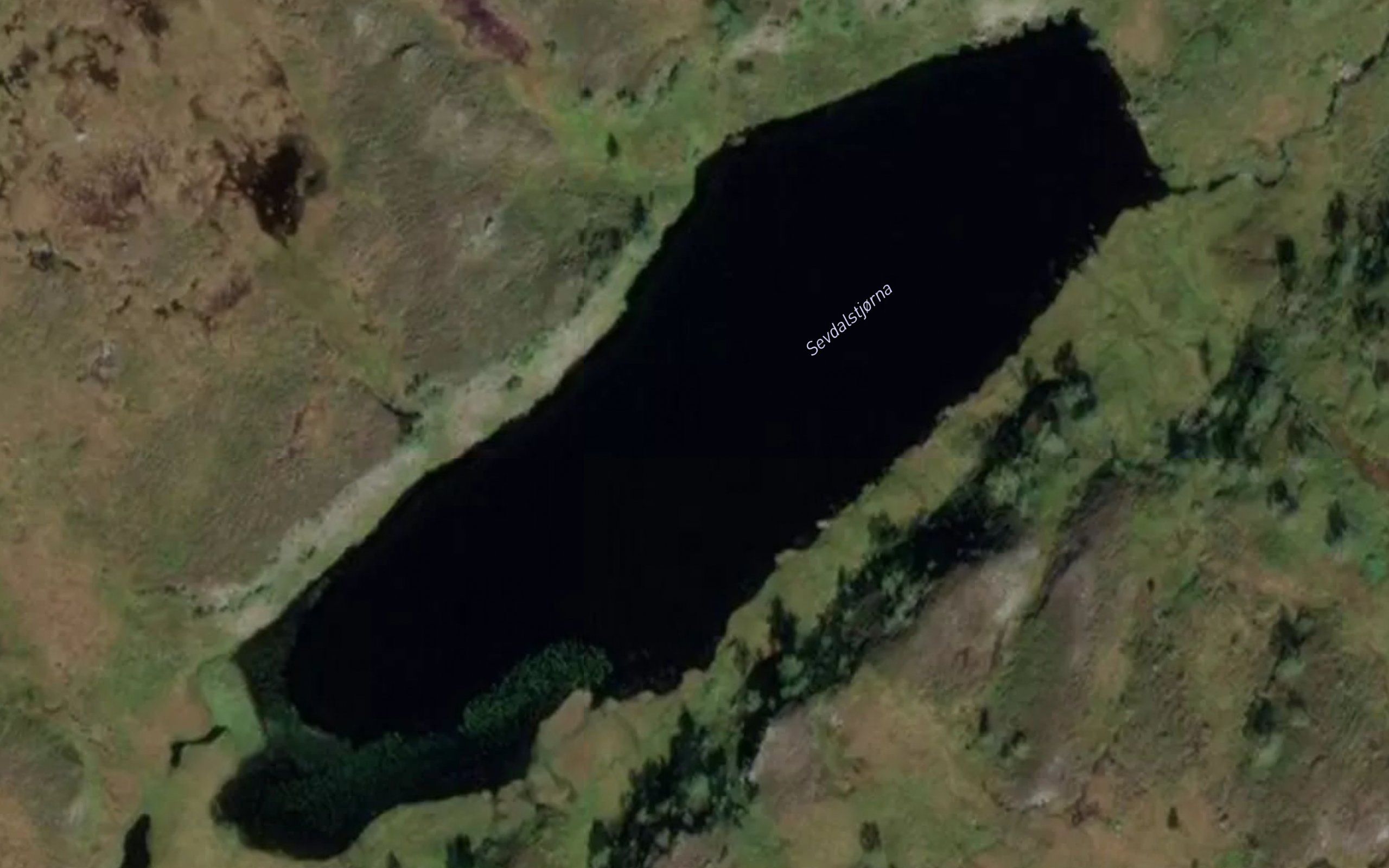 Sevdalstjorna