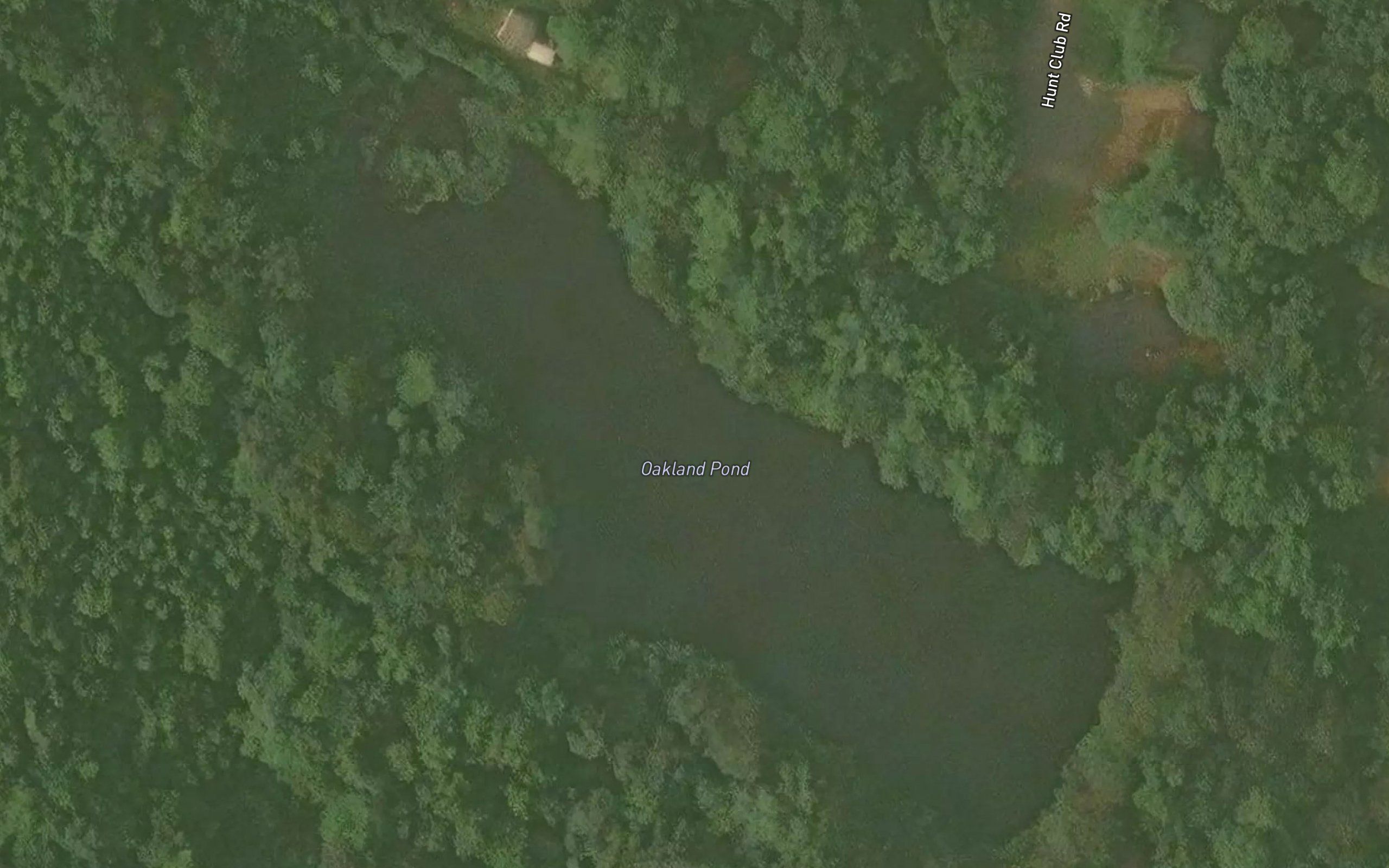 Oakland Pond