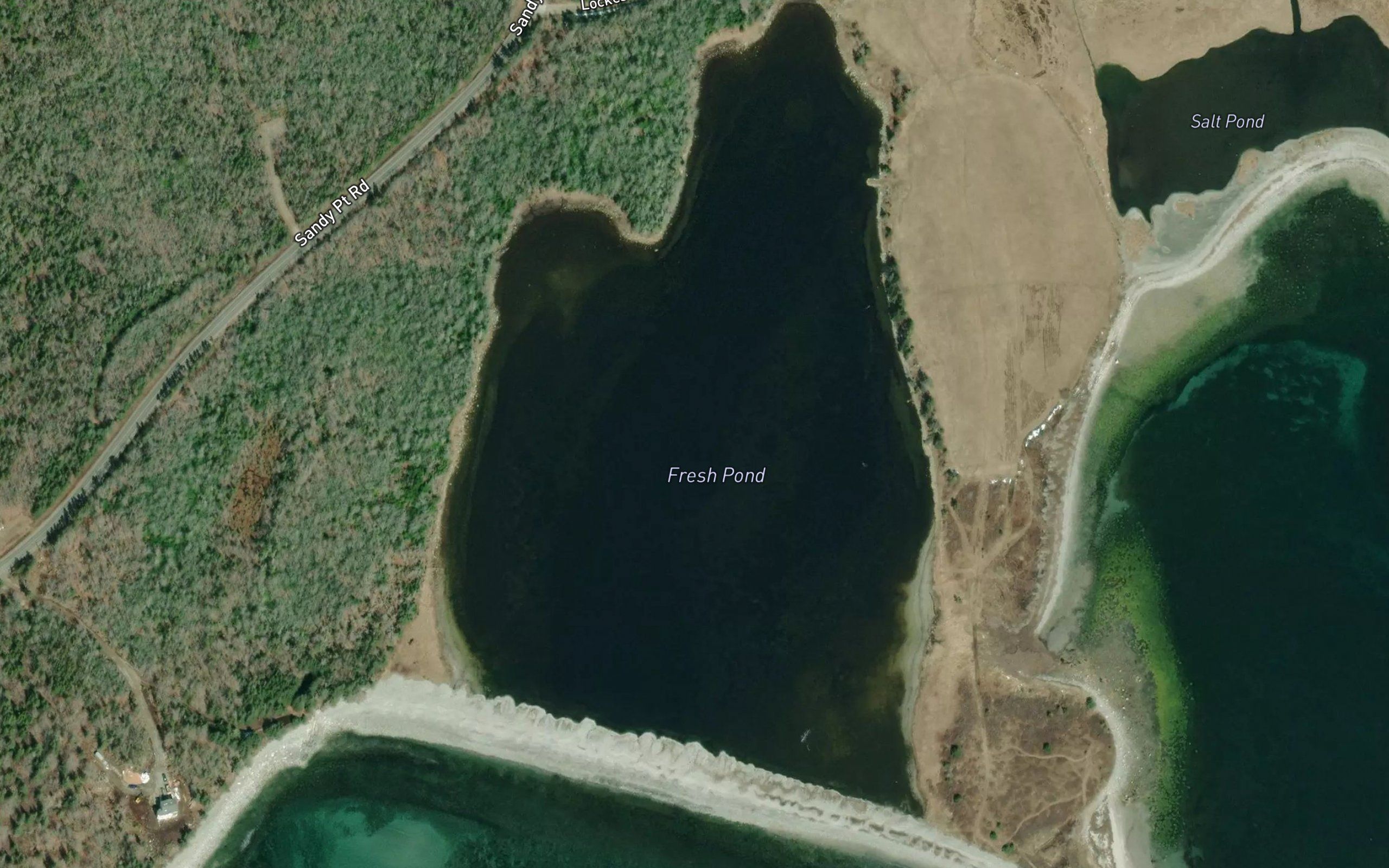 Fresh Pond