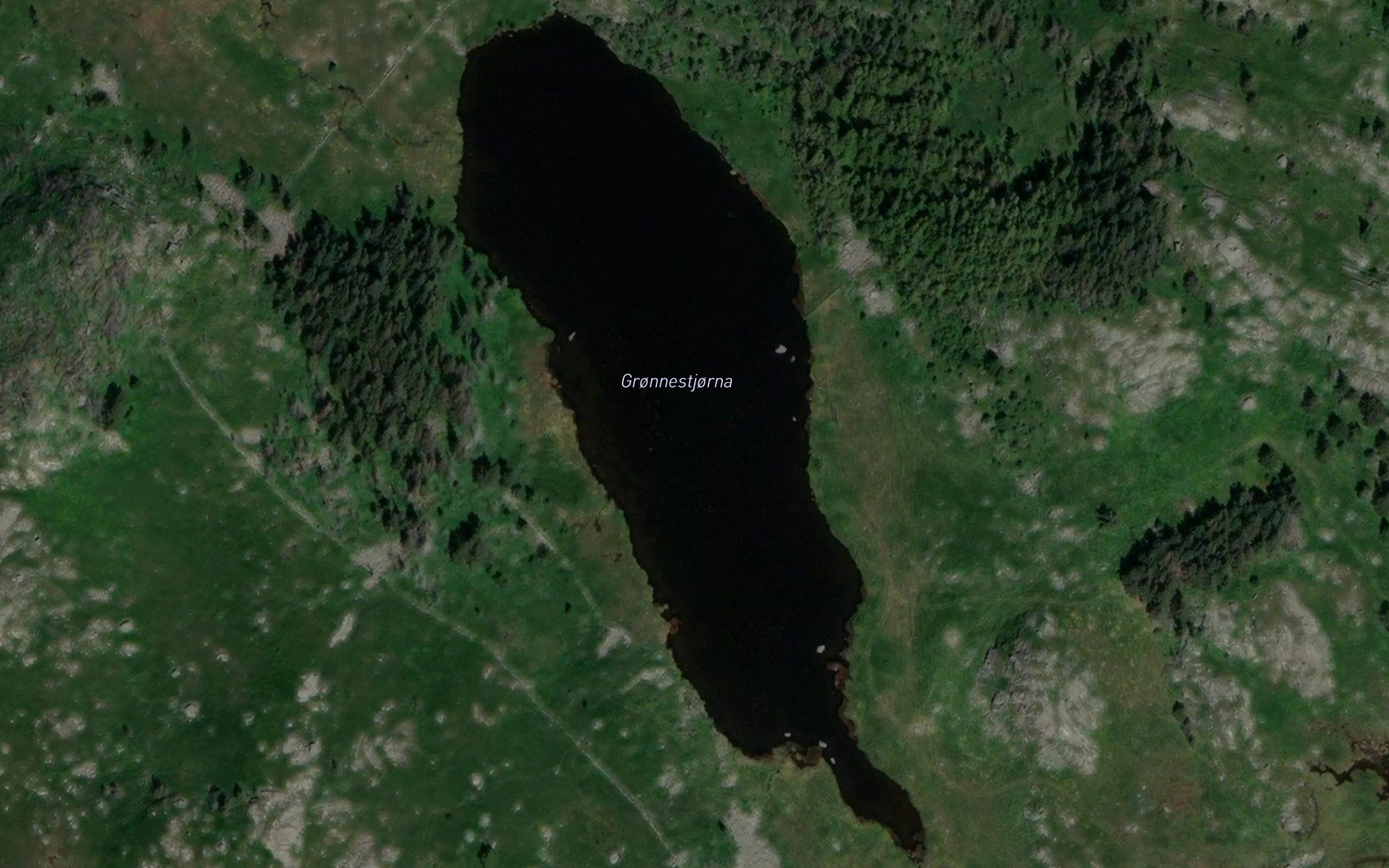 Grunnetjorna