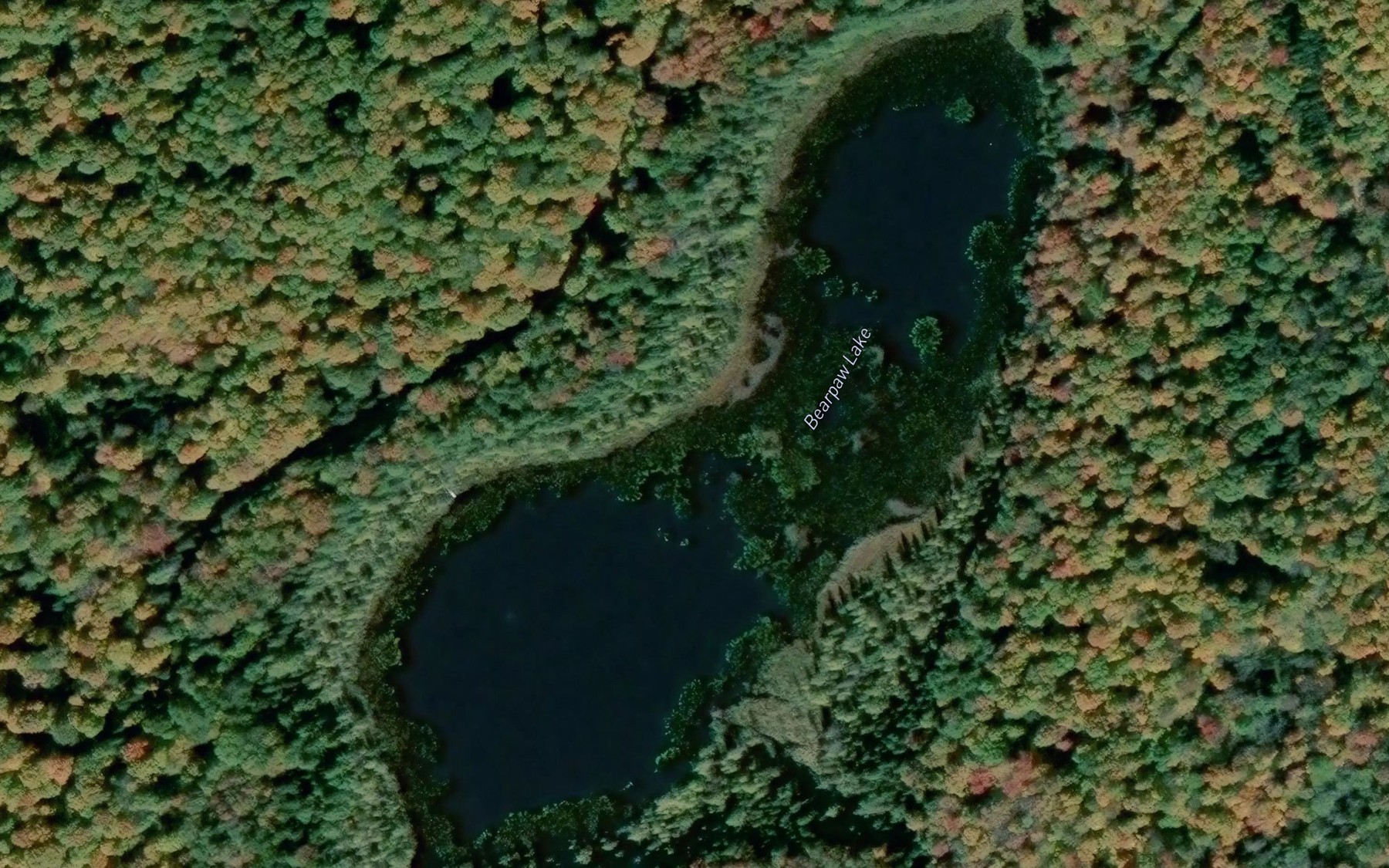Satellite map of the Bearpaw Lake