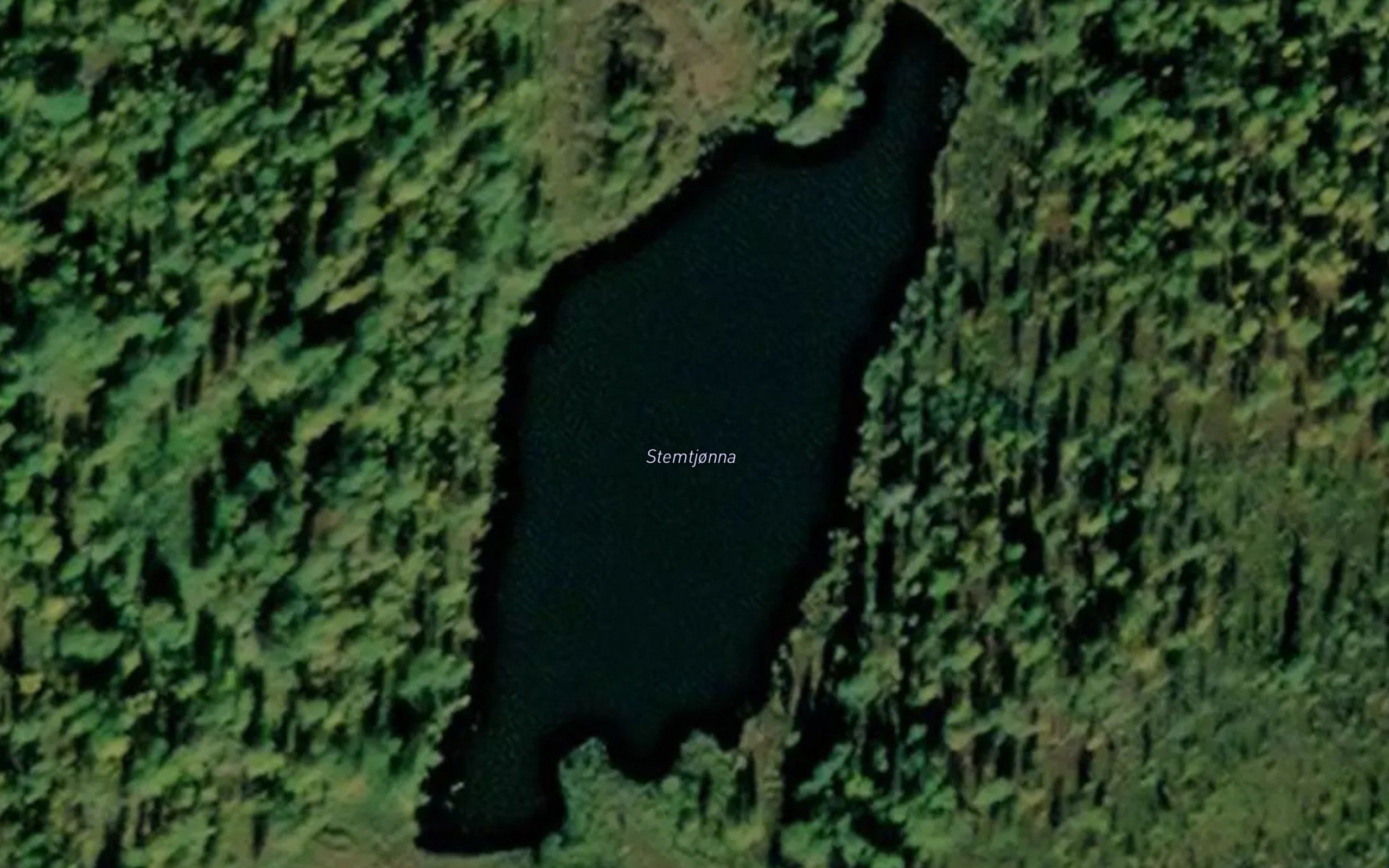 Stemtjorna